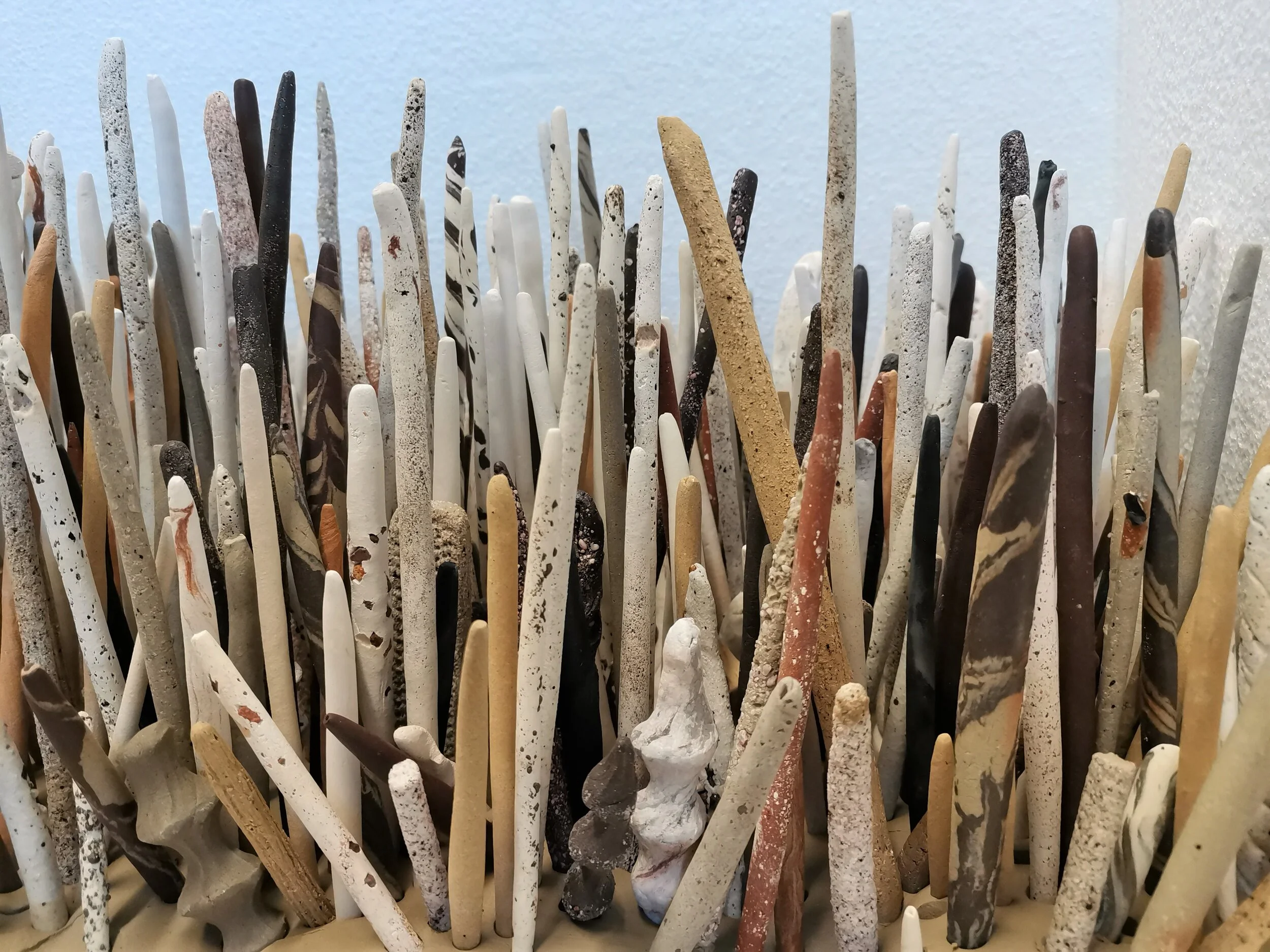 Eva Ding | Otago Polytechnic