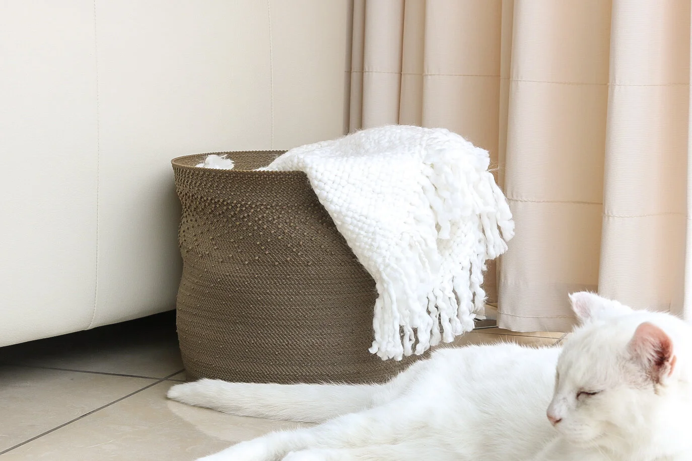 Courtney Naismith | Victoria University