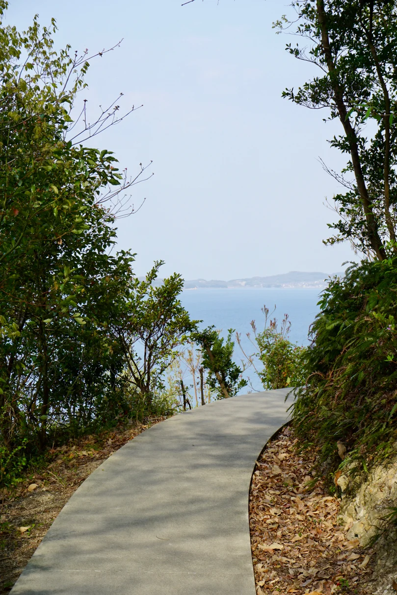 DSC03557.jpg