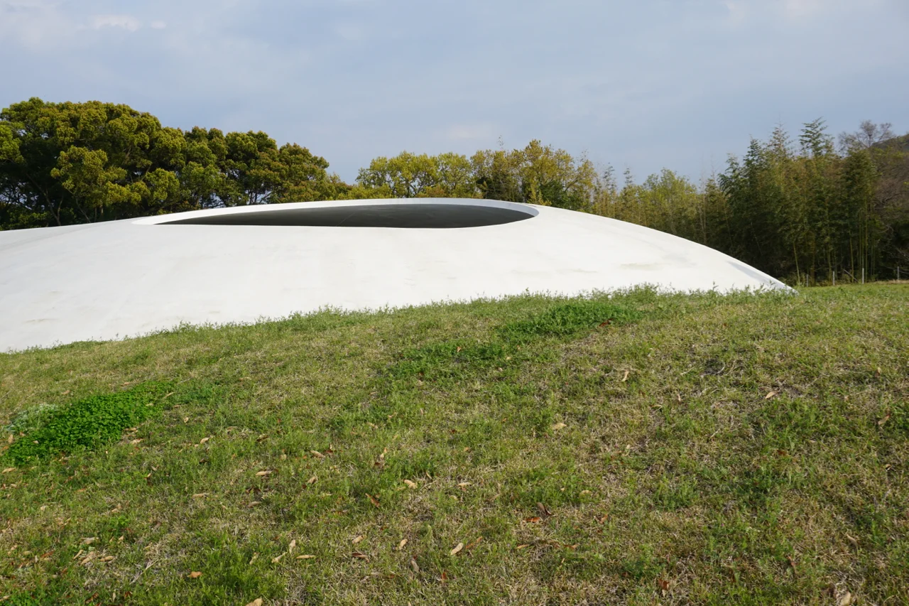 DSC03565.jpg