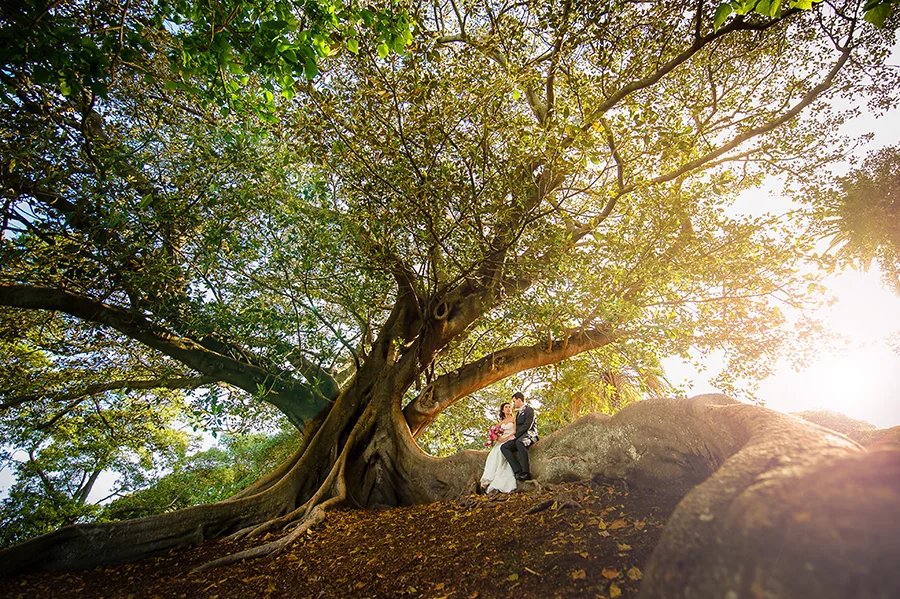 Tiffany&Callam-1262.jpg