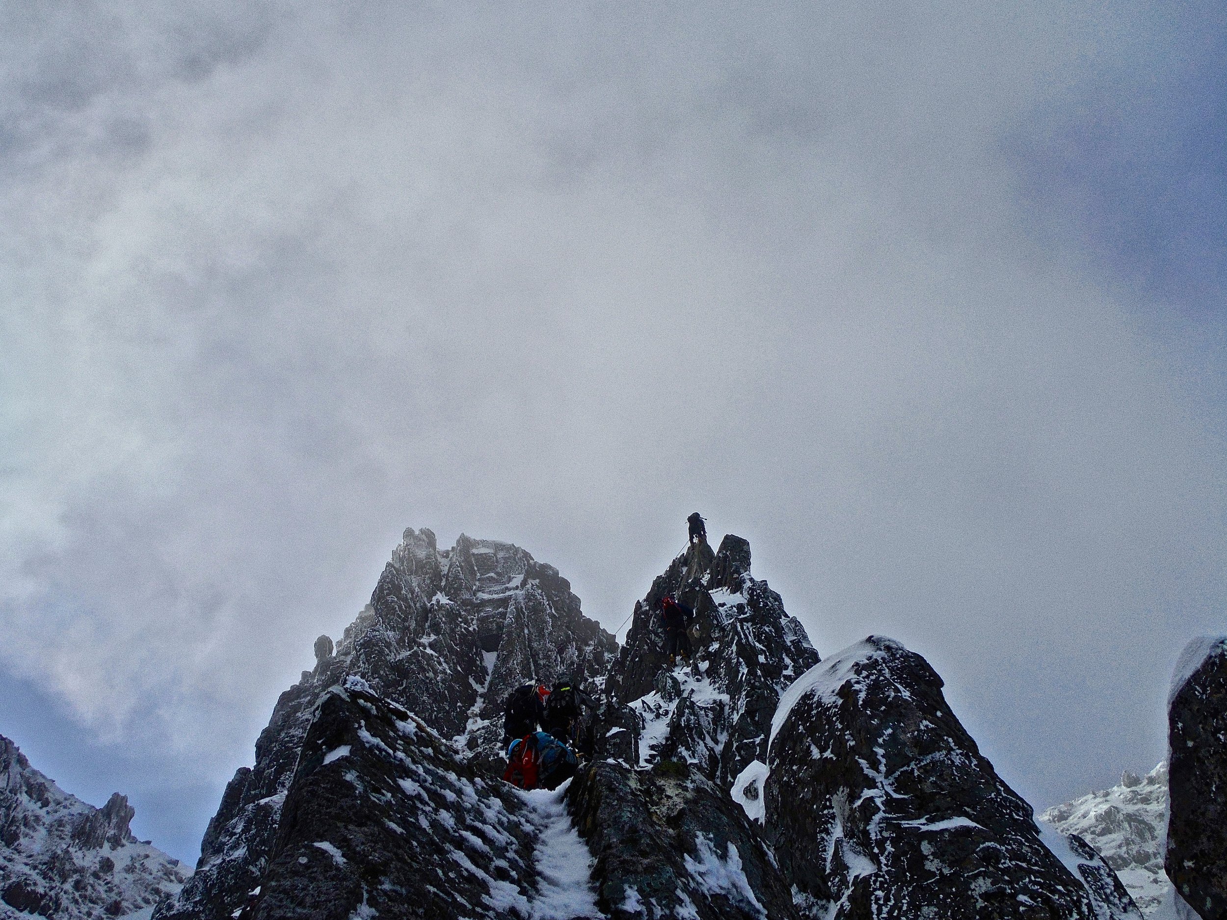 The "fin" on dorsal arete