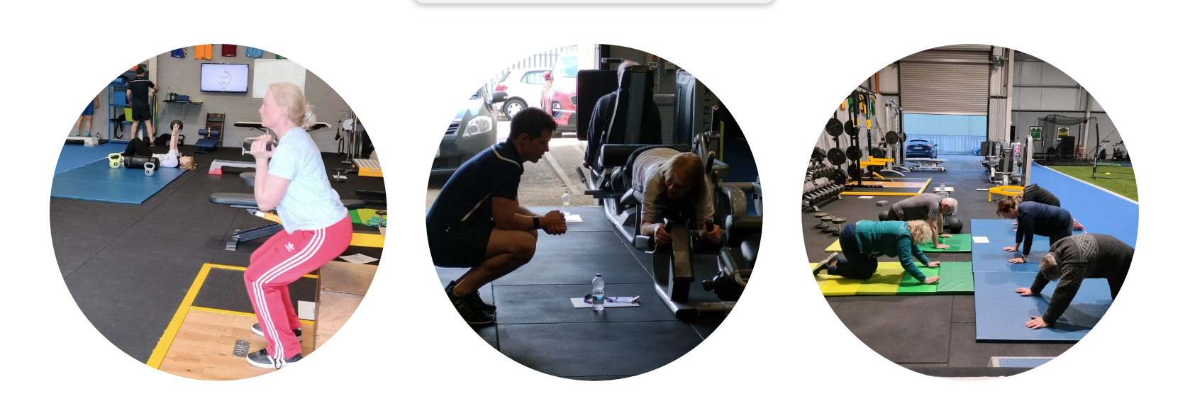 Bone Health Information Hub 