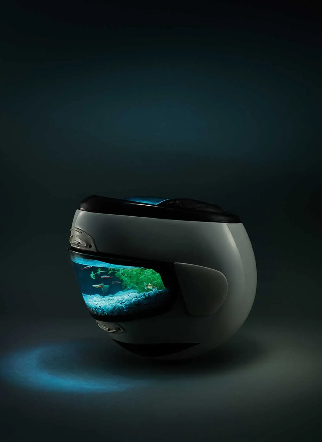 Shoei<br/><span style="font-size:0.8em;">Casco acquario</span>