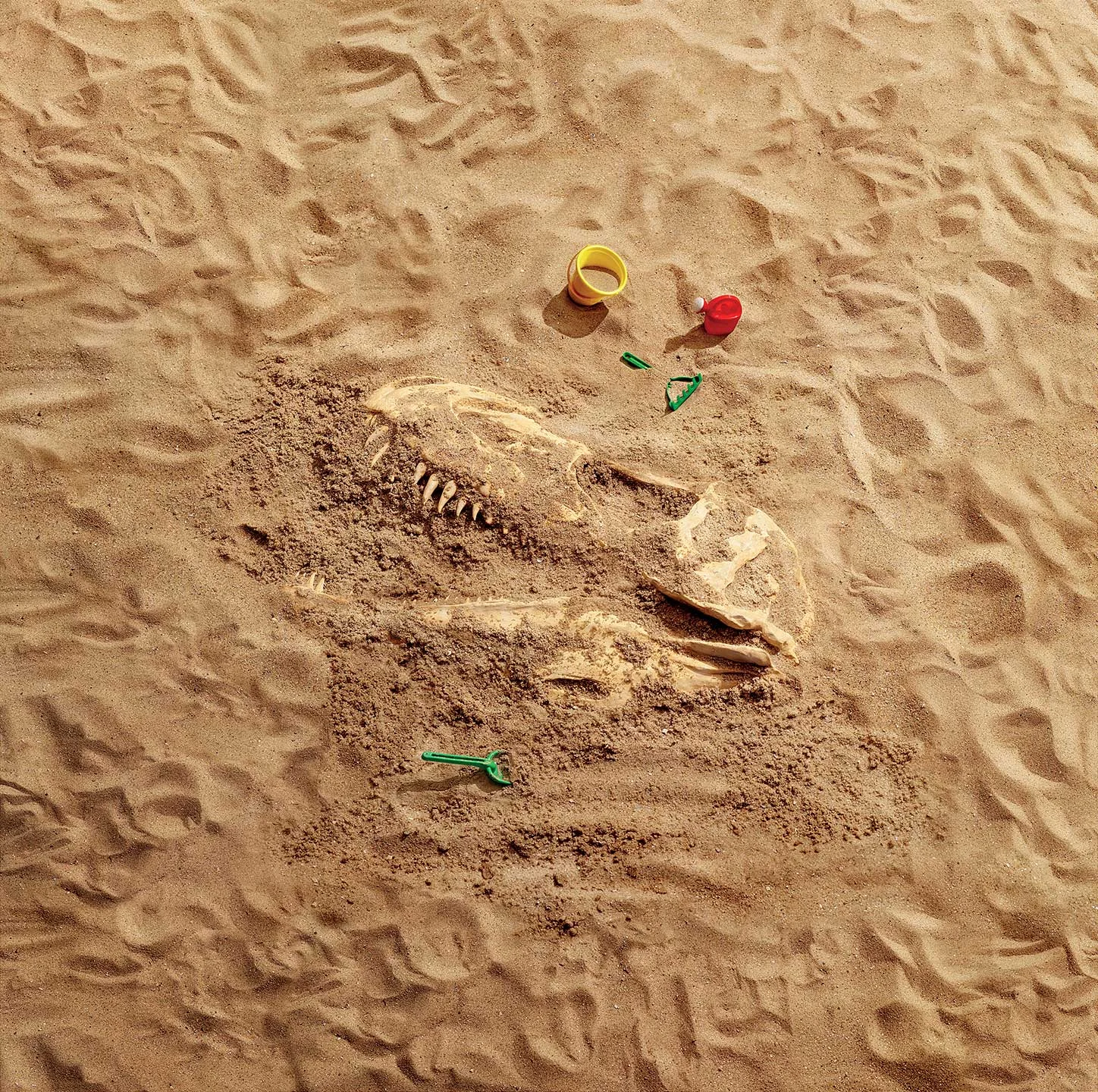 Discovery channel<br/><span style="font-size:0.8em;">Spiaggia fossile</span>