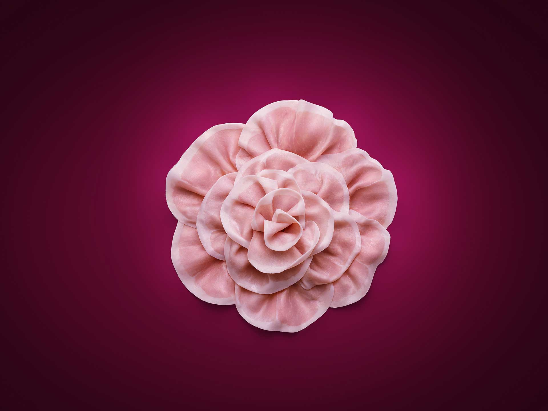 Coop<br/><span style="font-size:0.8em;">Rosa prosciutto cotto</span>