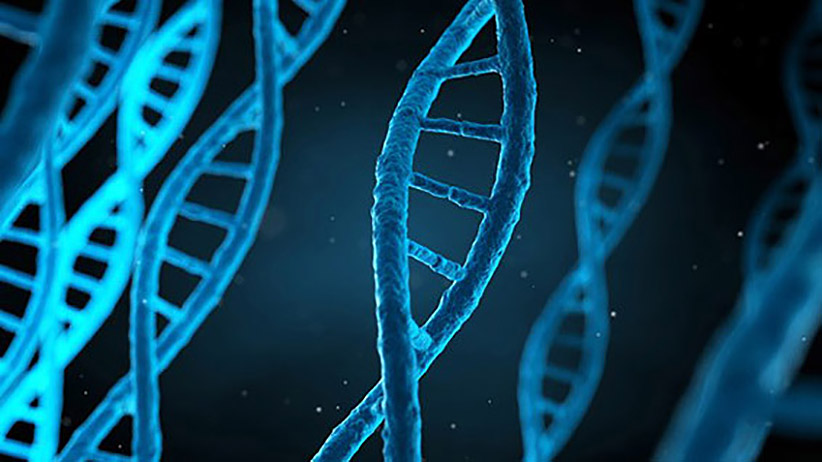 How We've Helped SMARTplayds Uncover Their DNA