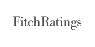 _Logos_resized_320x160_0016_Fitch.png