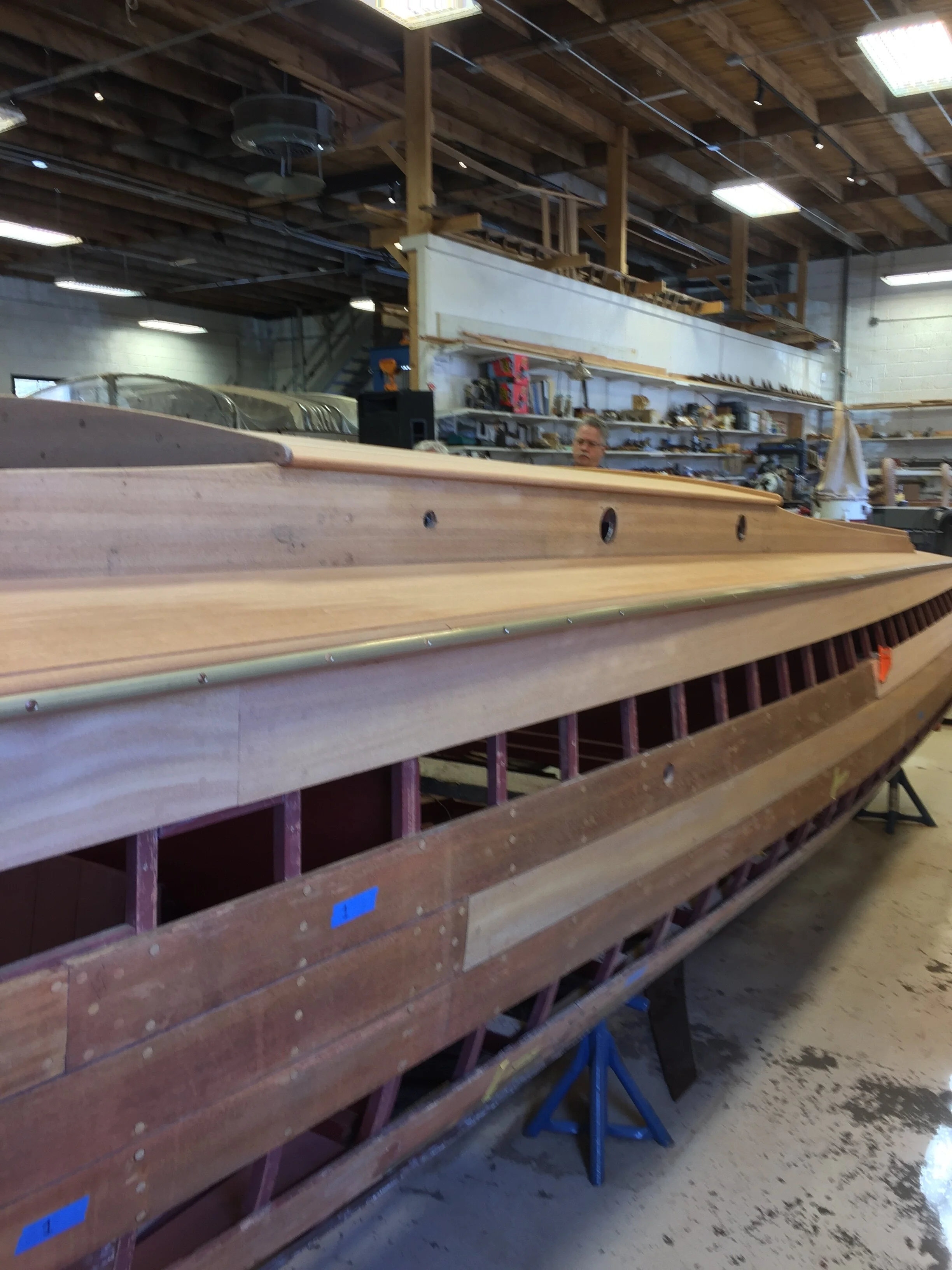 "Sequoia" 