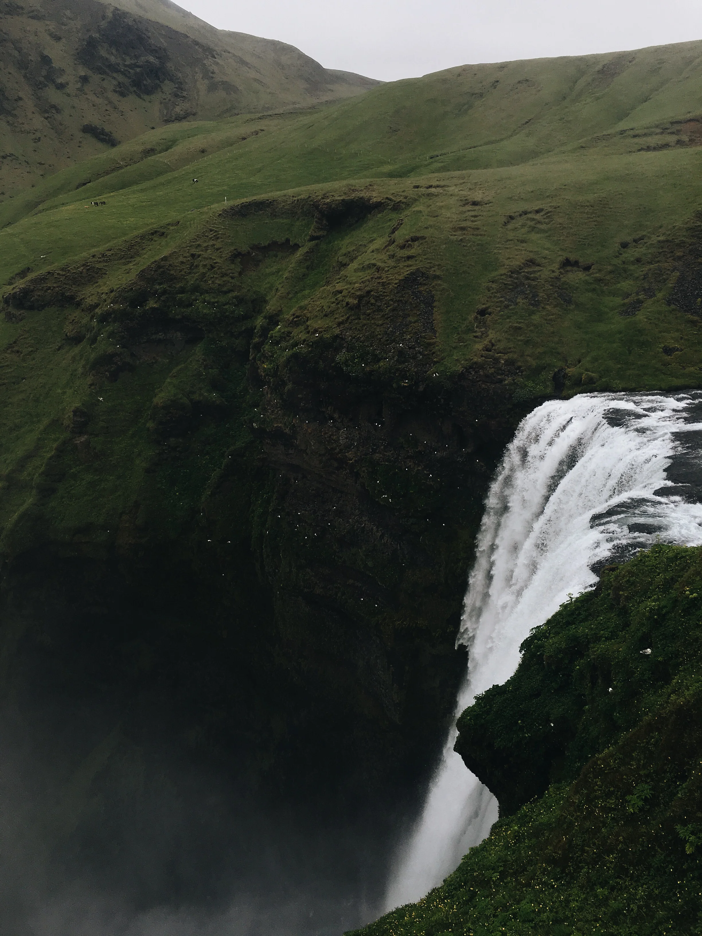 JPEG image-F4A2B7D2BA21-1.jpeg