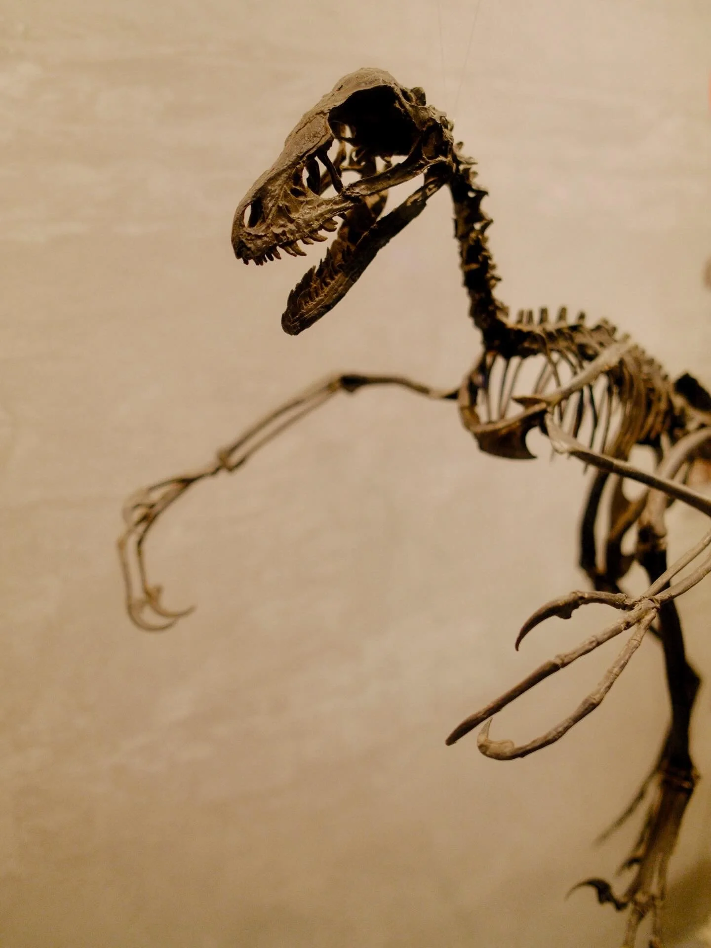 9982943D-B634-4822-9B6A-2E85A72A677A.JPG