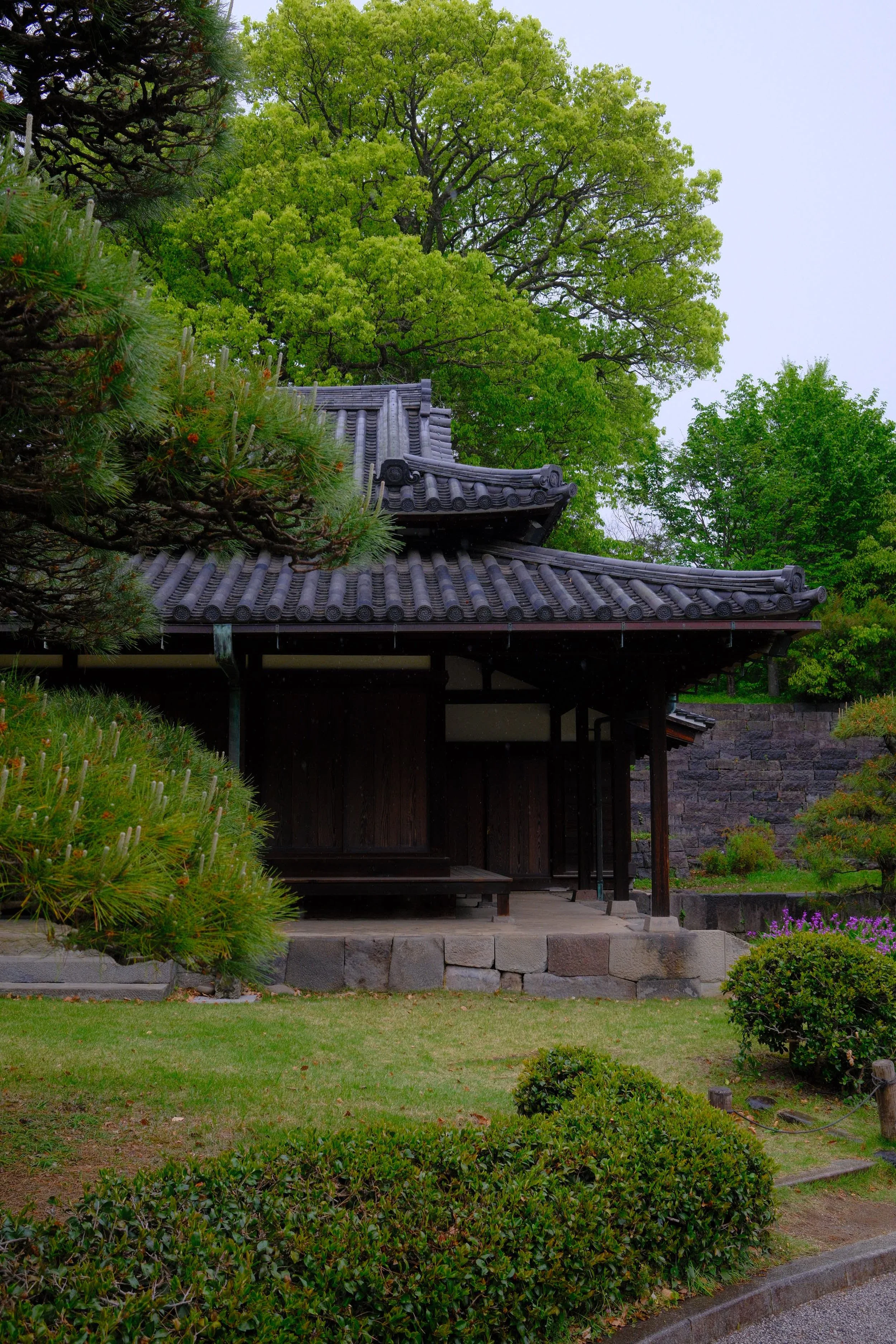 DSCF0814.JPG