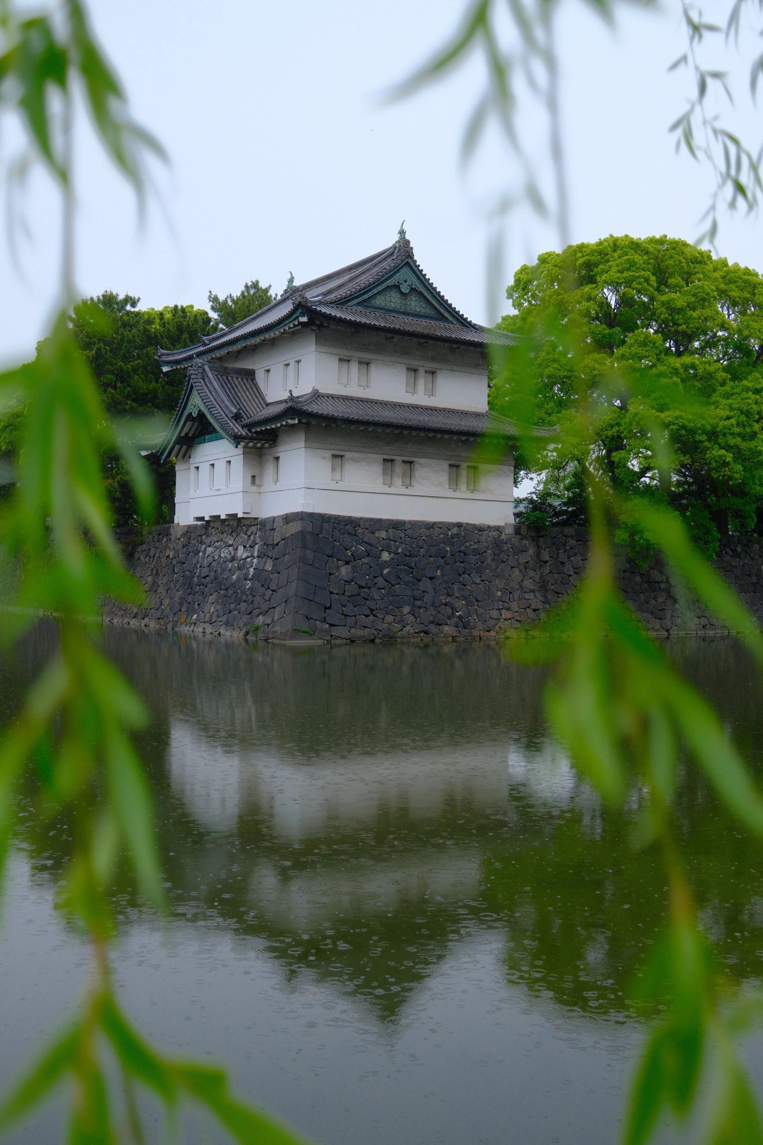DSCF0834.JPG