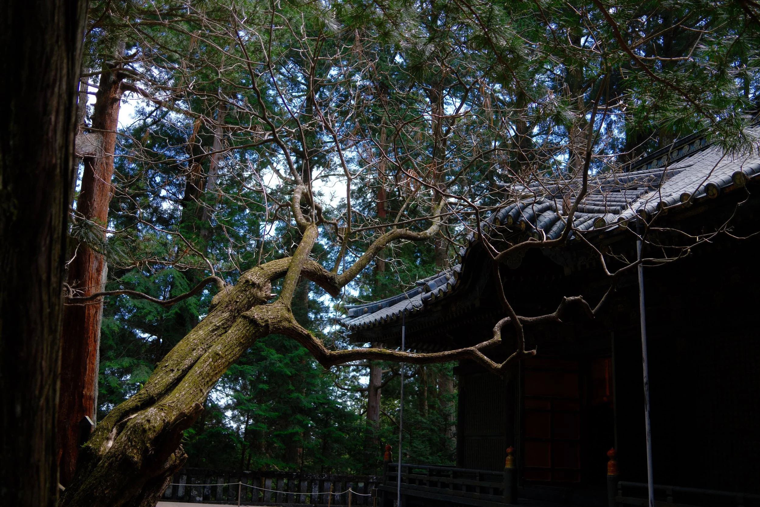 DSCF0942.JPG