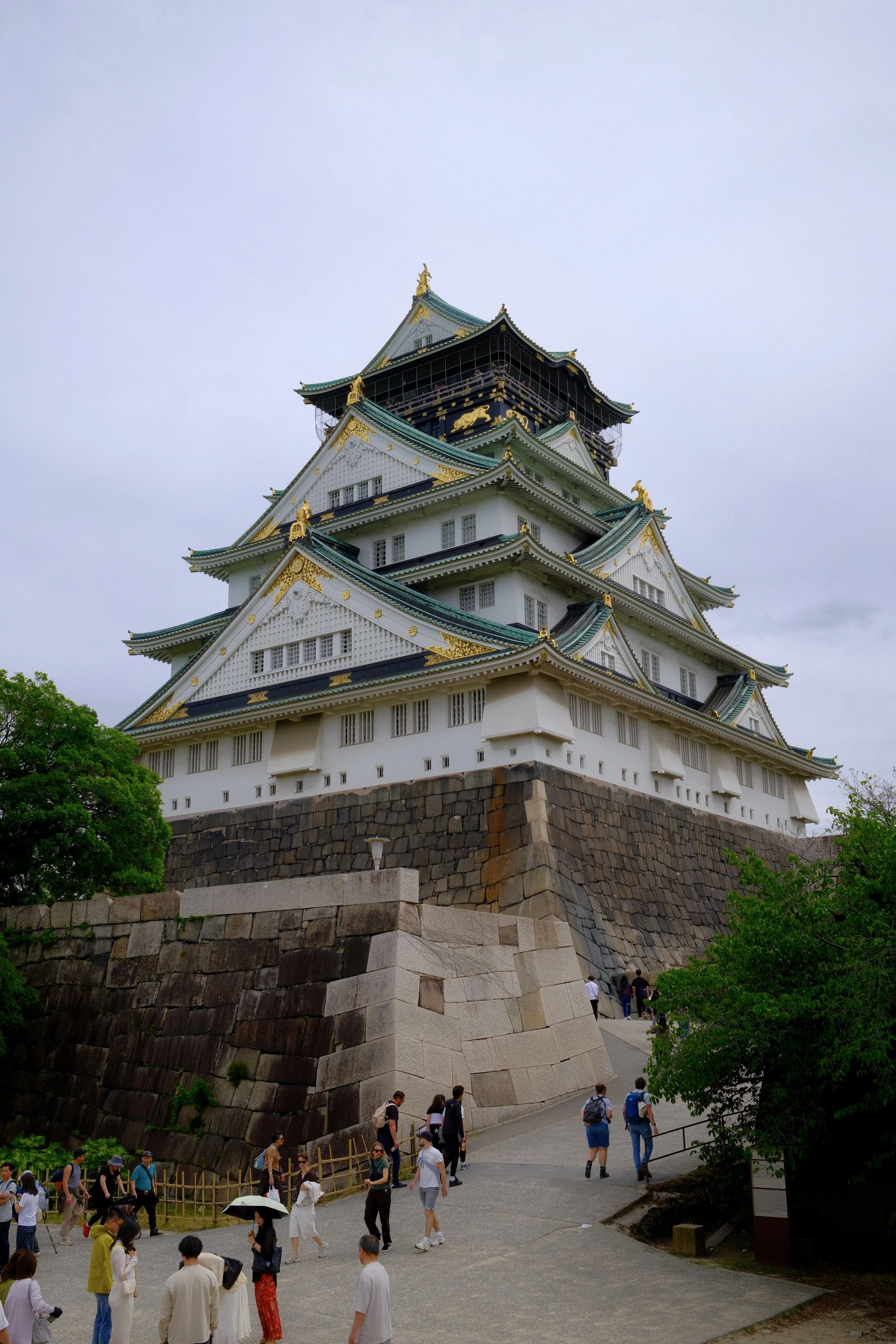 DSCF1008.jpg