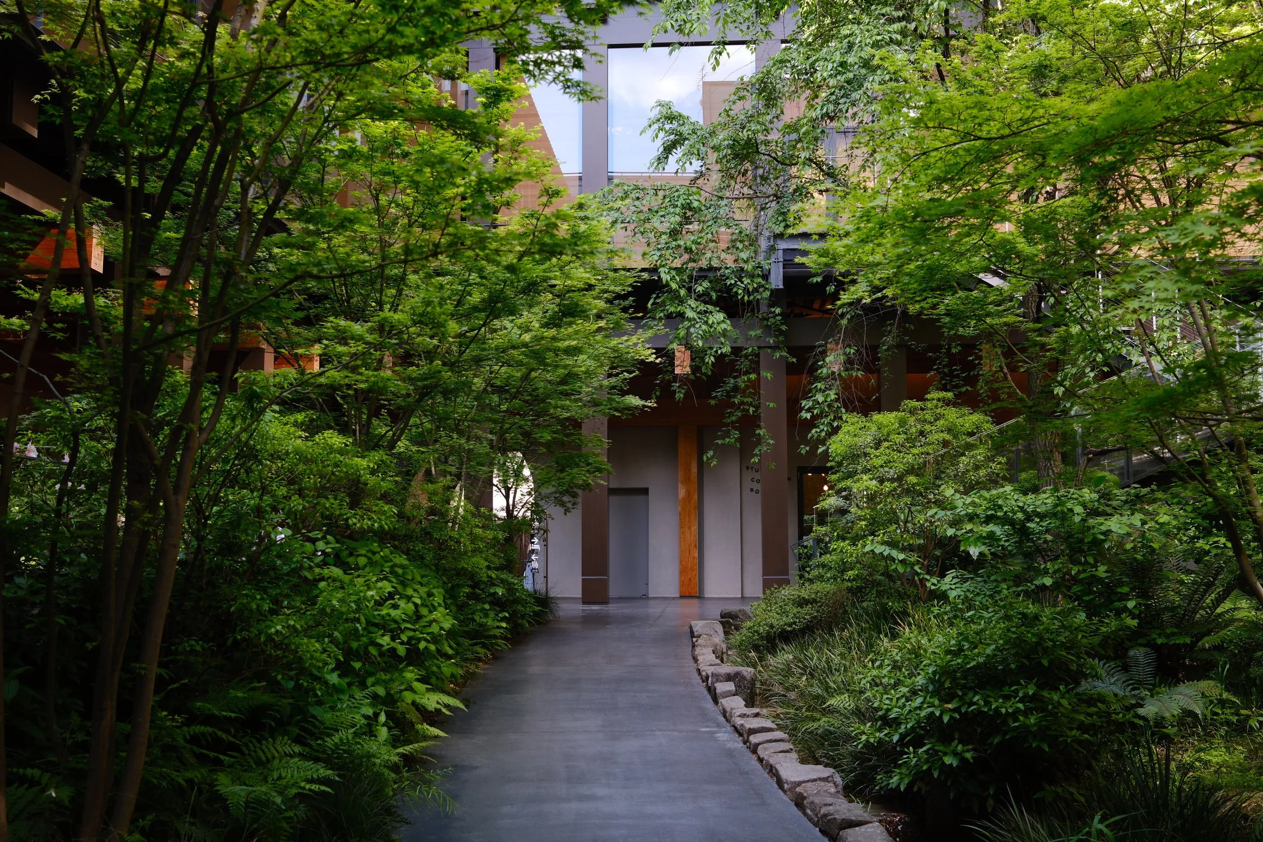 DSCF1190.JPG