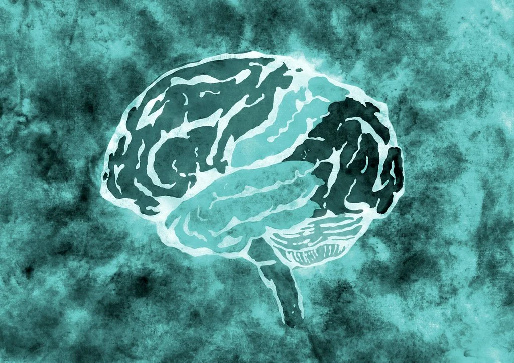 Image Catalog 3 NEUROSCIENCE — DR.RENÉE HEALING ART