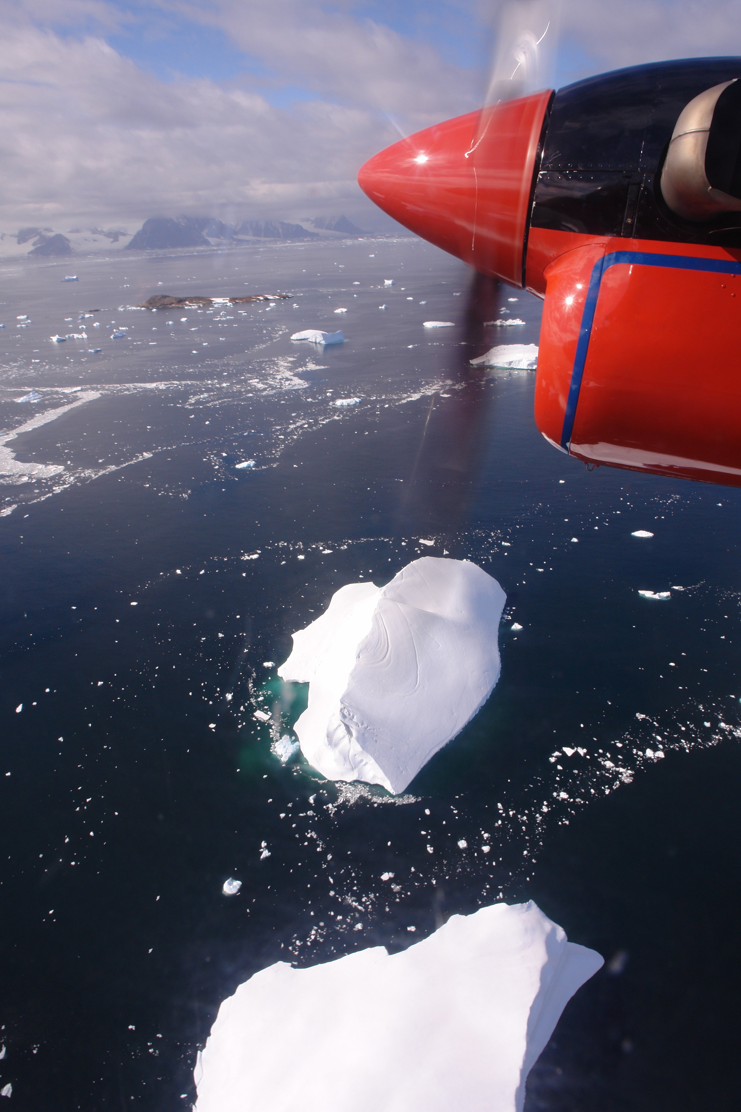 Copy of Weddell Sea, Antarctica