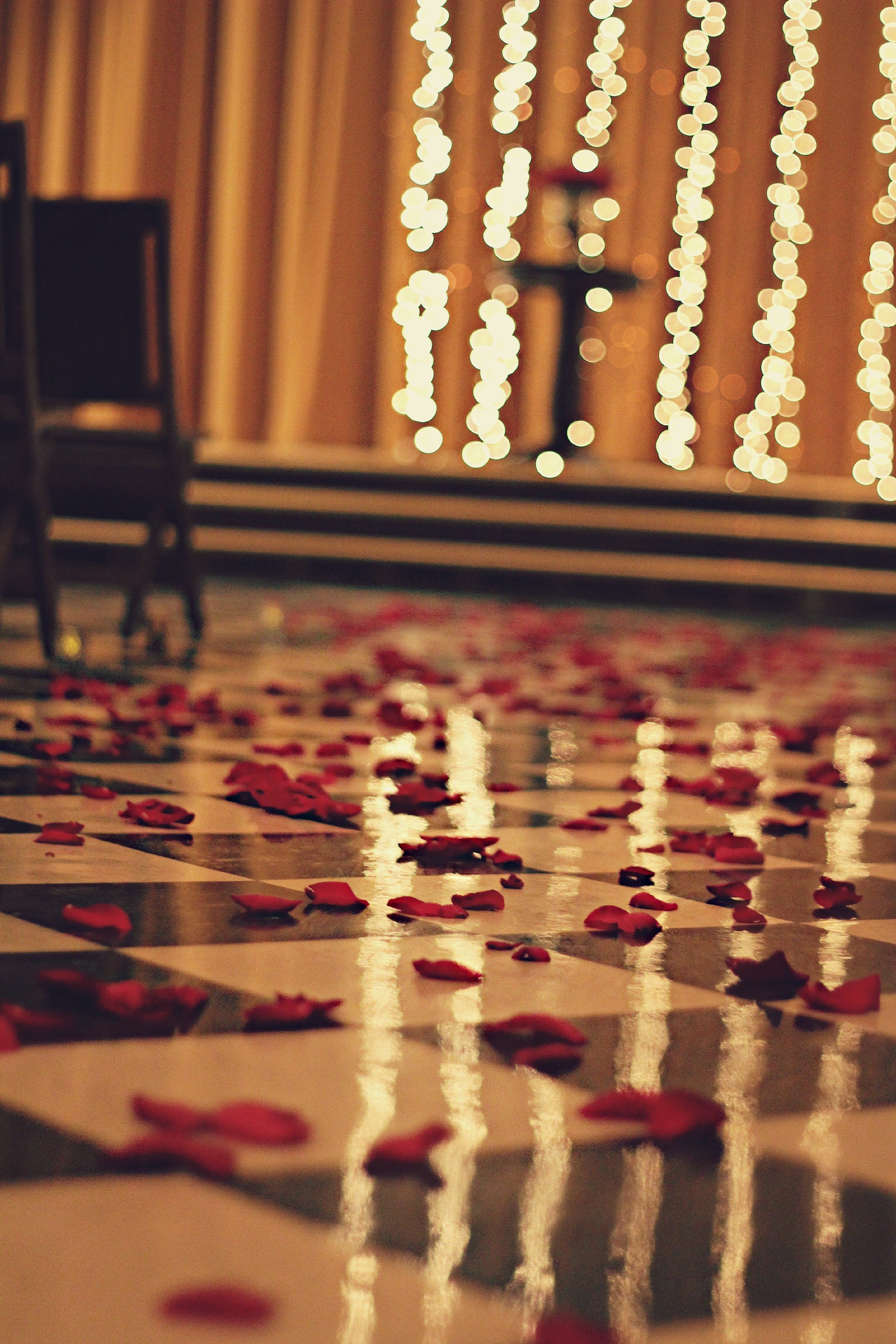 Glittery lights and red rose petals