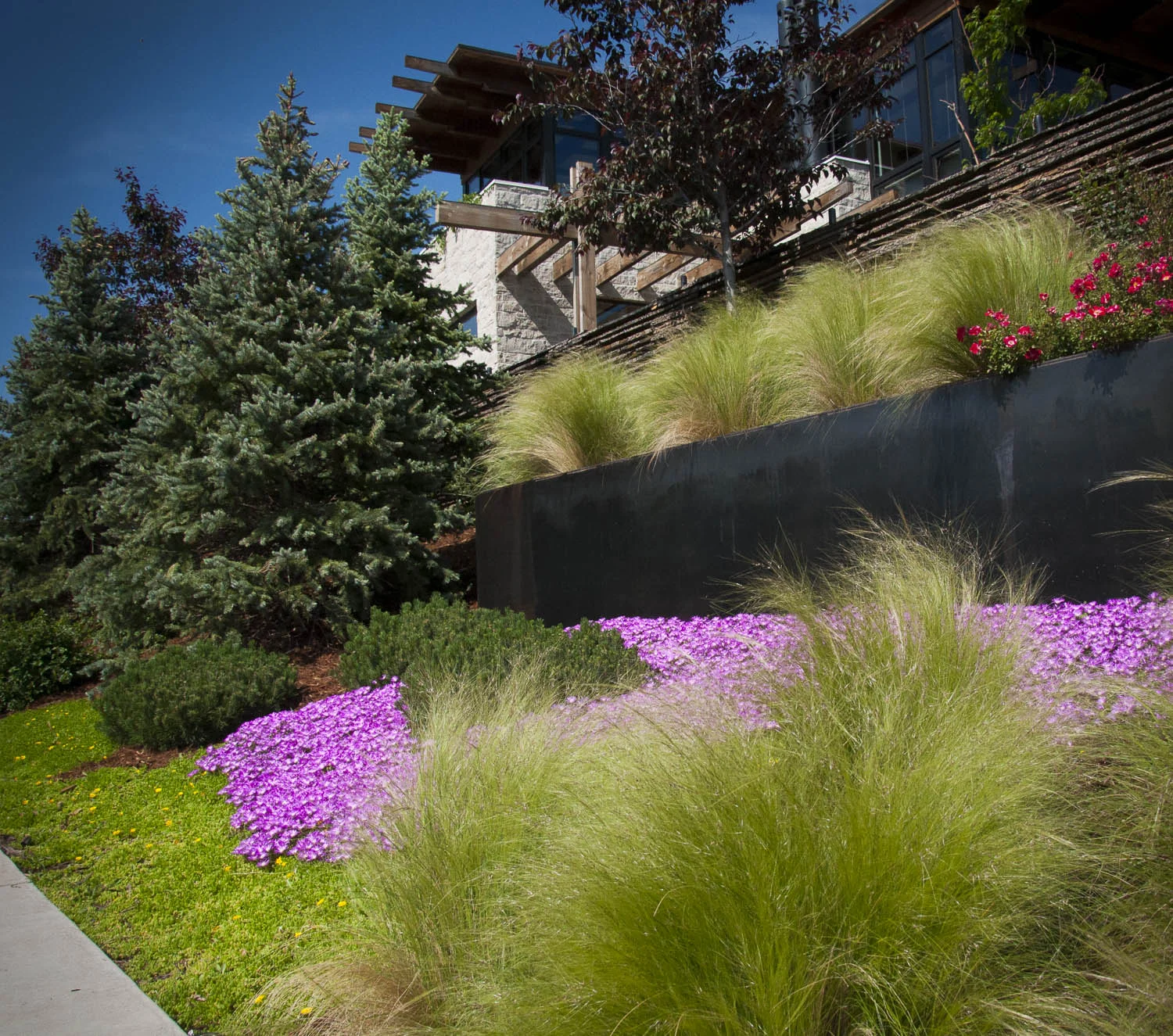 Marpa Contemporary Landscape Garden Design Denver Colorado Aspen Zen Garden (7).jpg