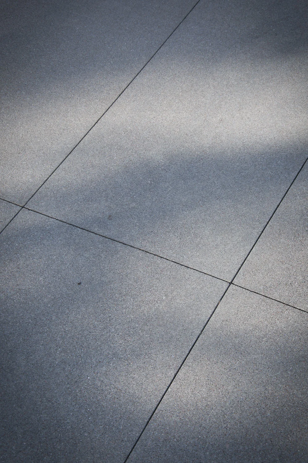 DSC_3445a.jpg
