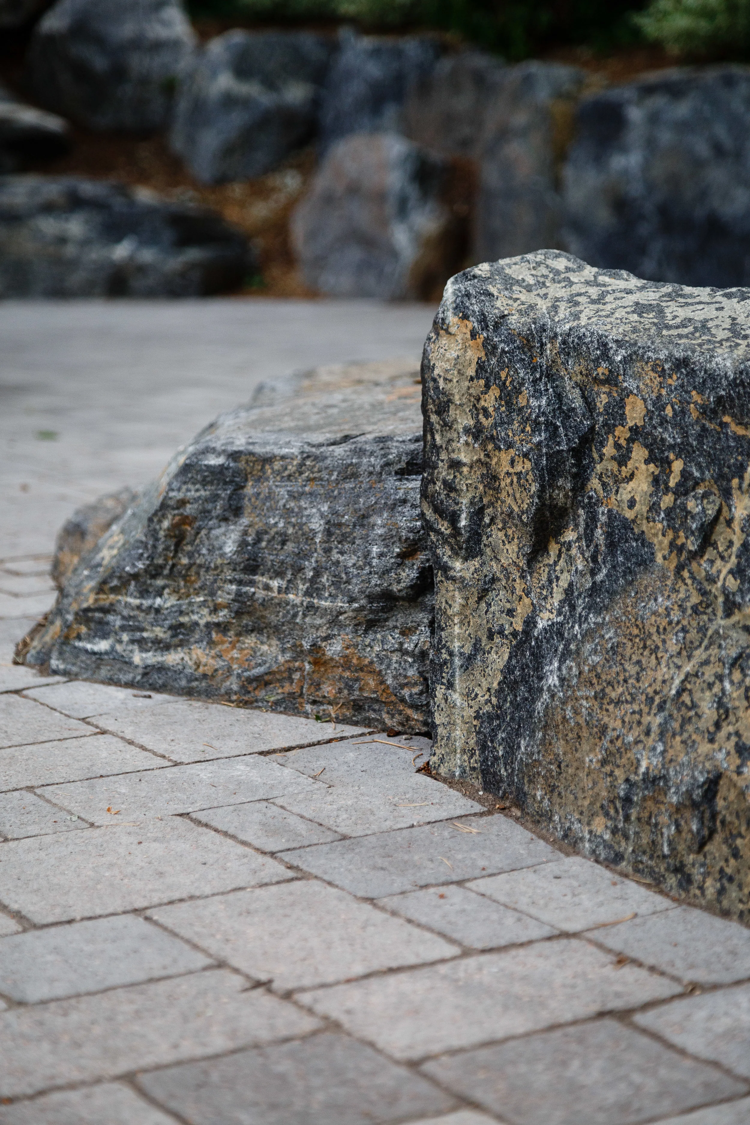 MARPA-00826.jpg