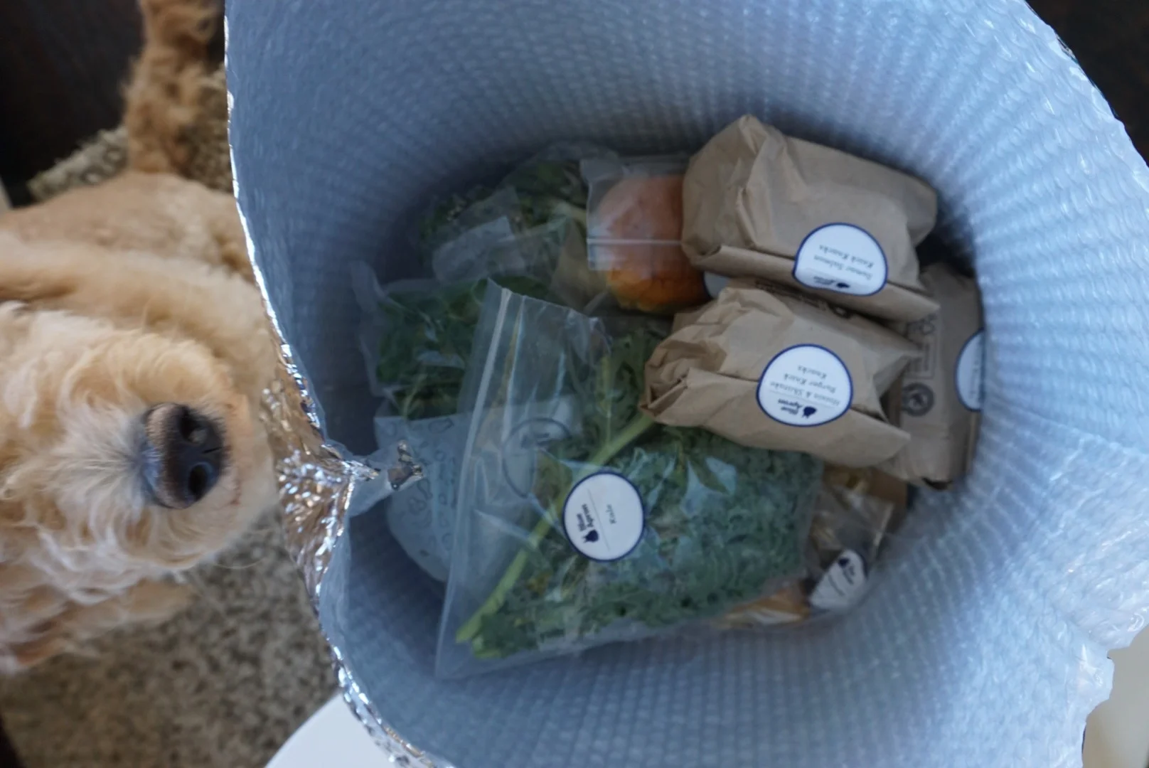 Products come in an insulated bag