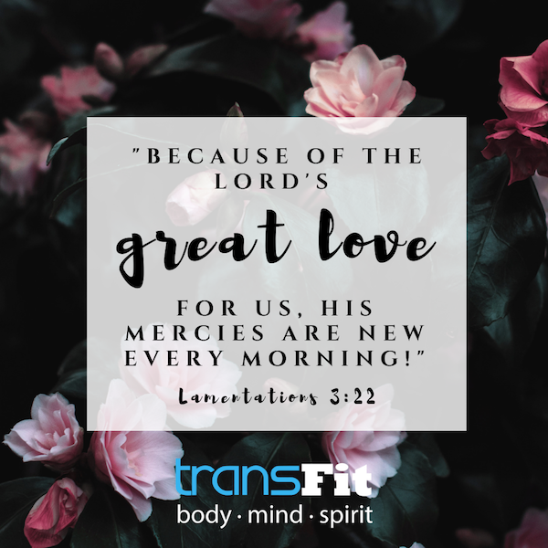 lamentations 3.22 pic 2.png