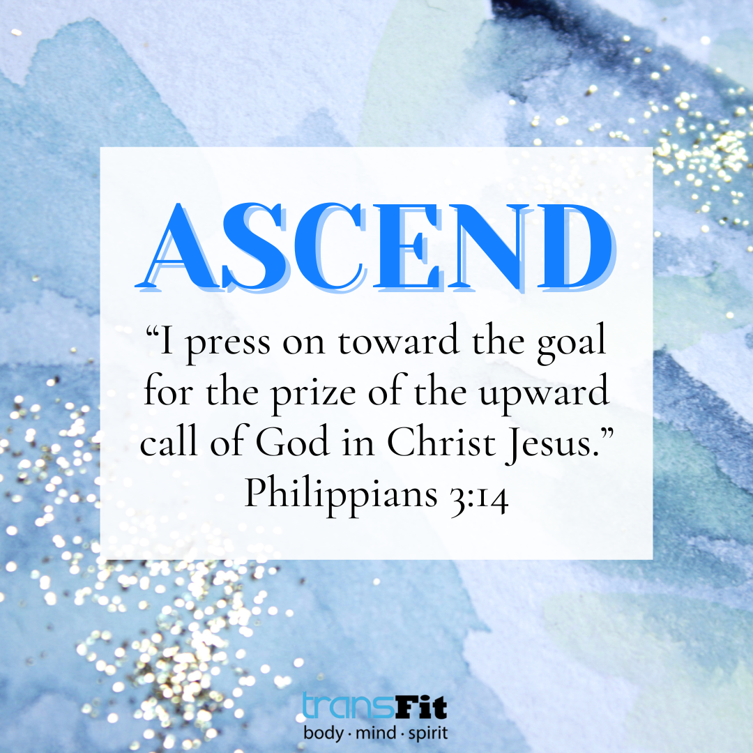 Scripture Posts-15.png