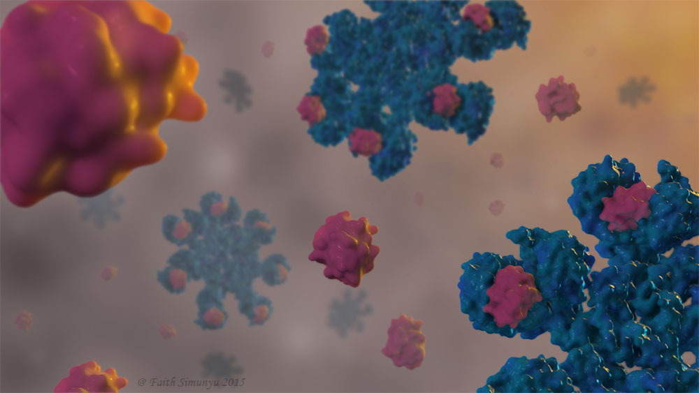 MolecularApoptosome.jpg