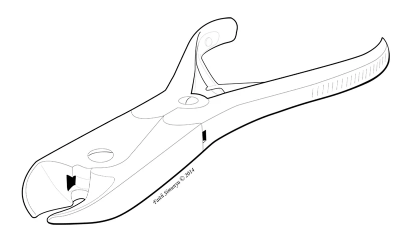BVIS528_SimunyuF_Cutting.jpg