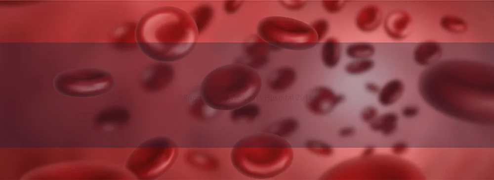 blood.jpg