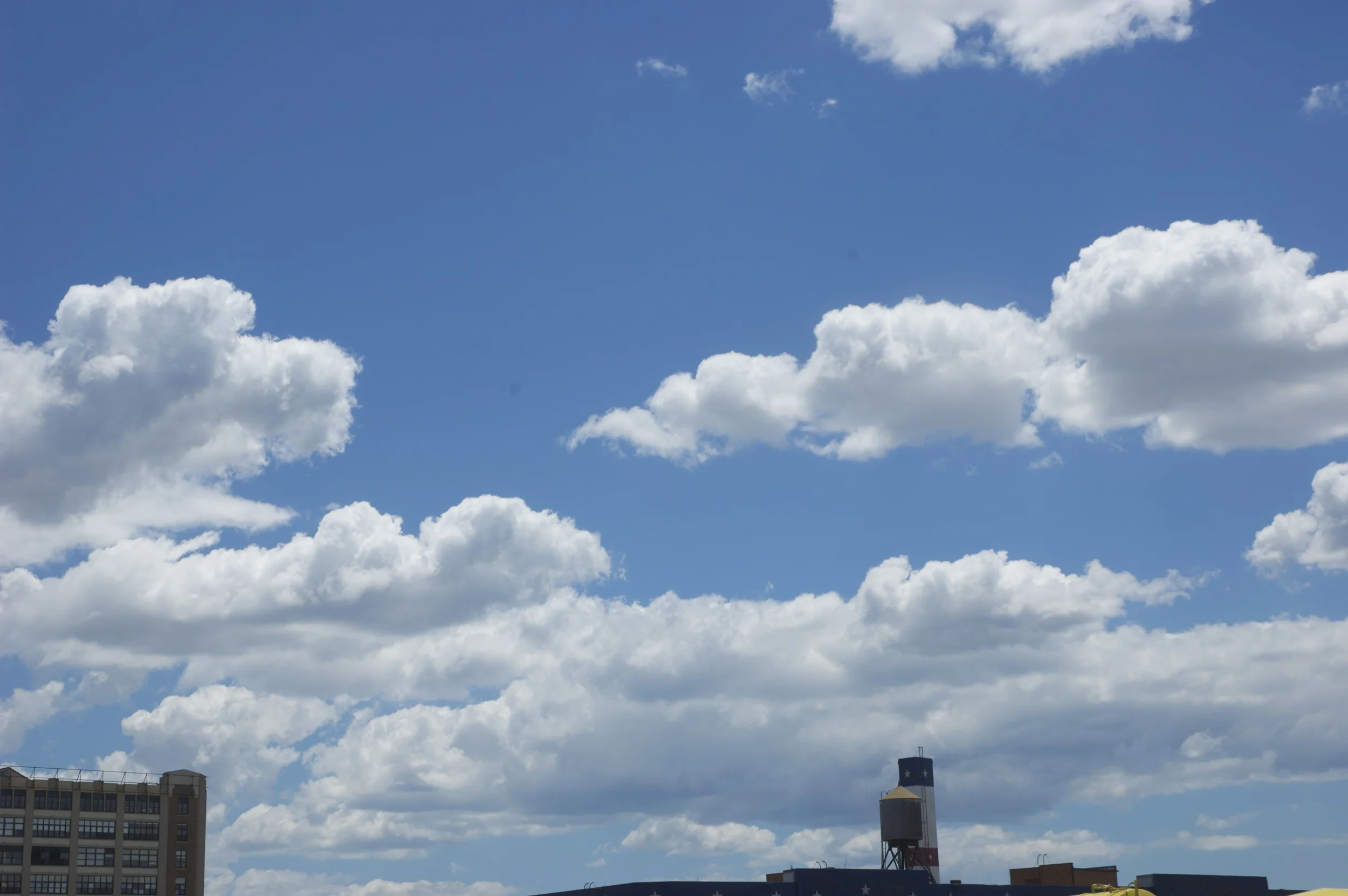 DSC_0011_2.jpg