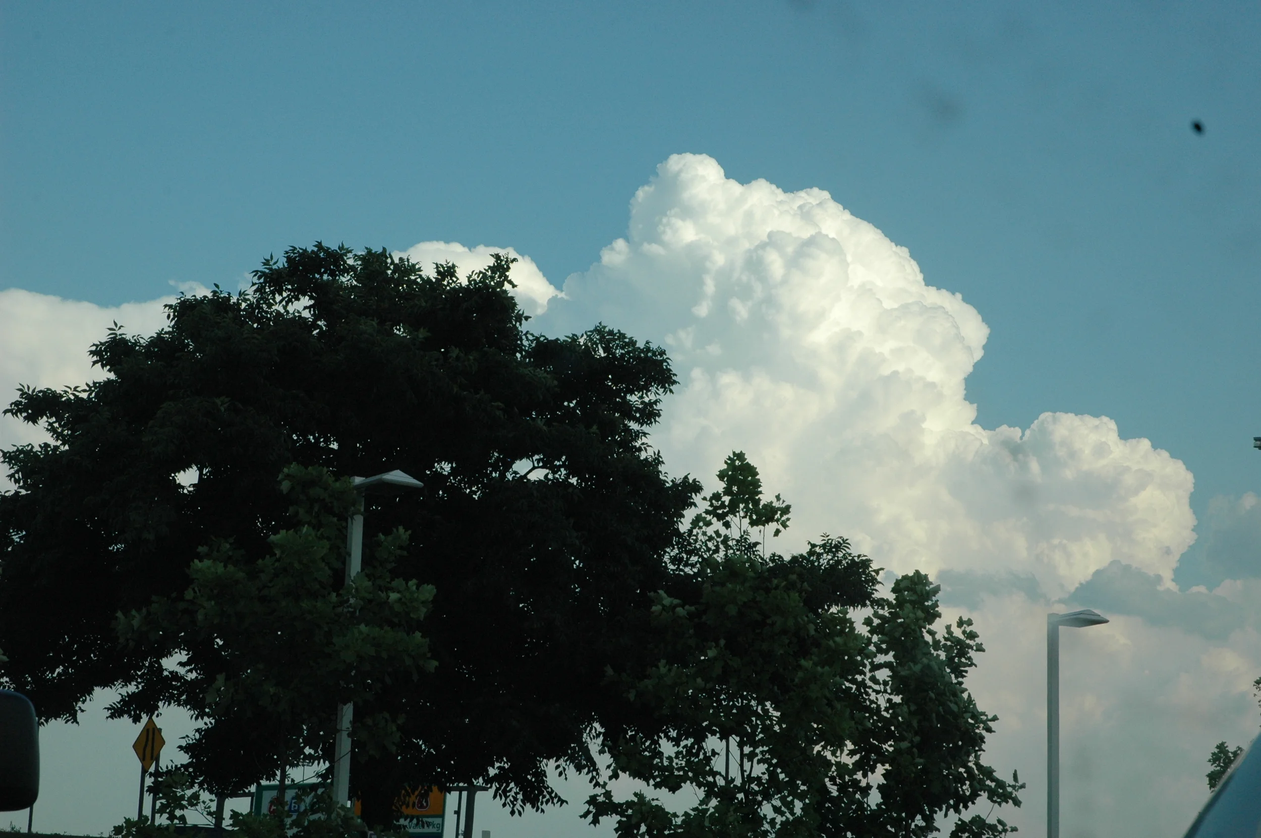 DSC_0032.JPG