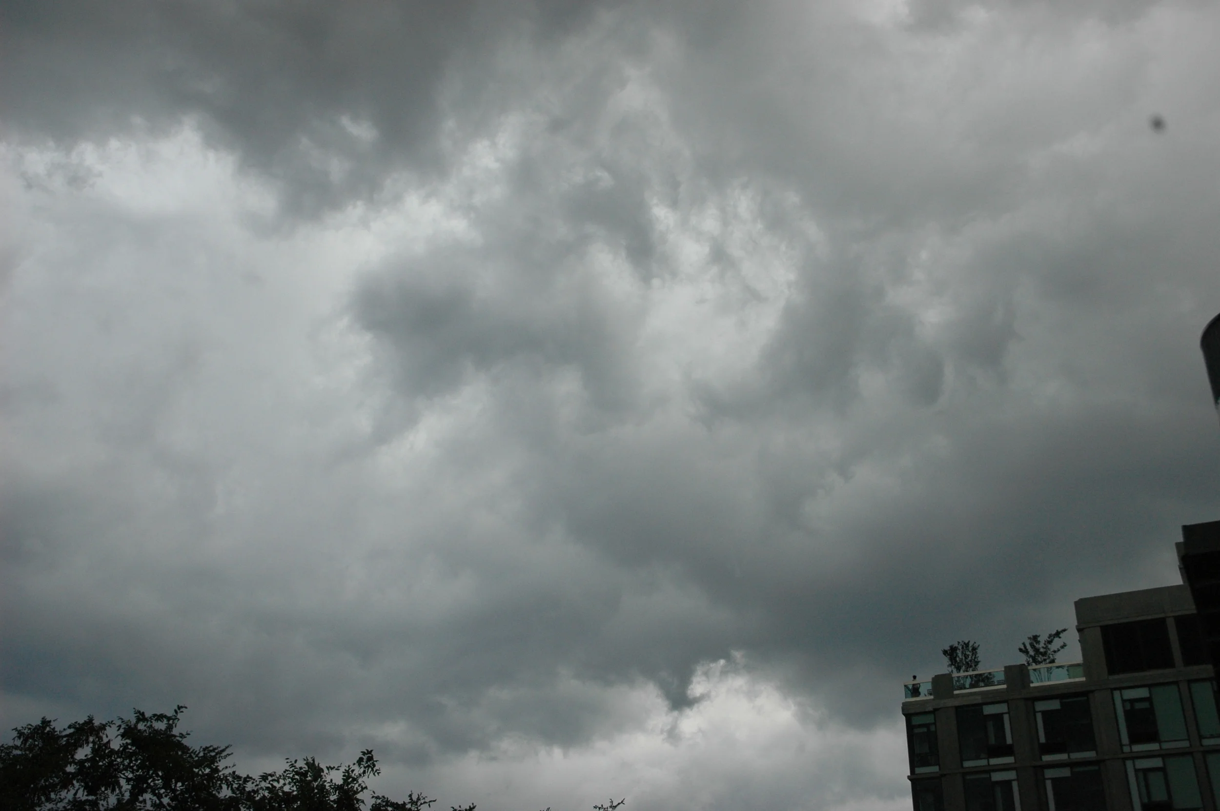 DSC_0480.JPG