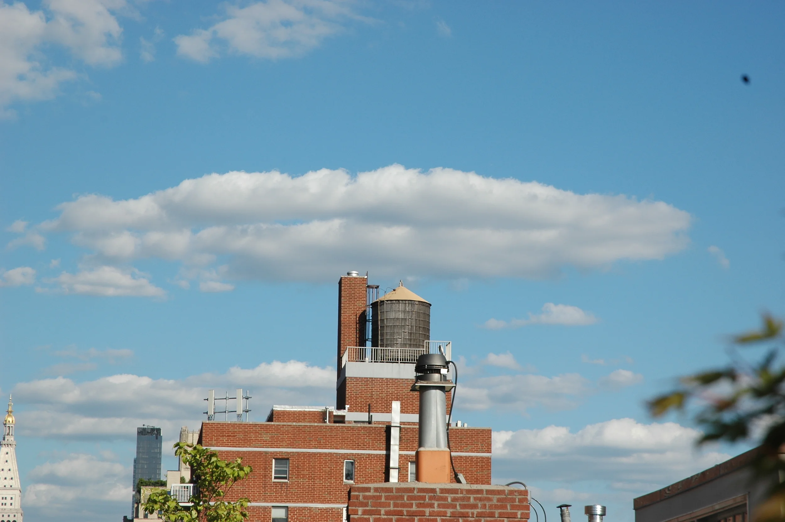 DSC_0227.JPG