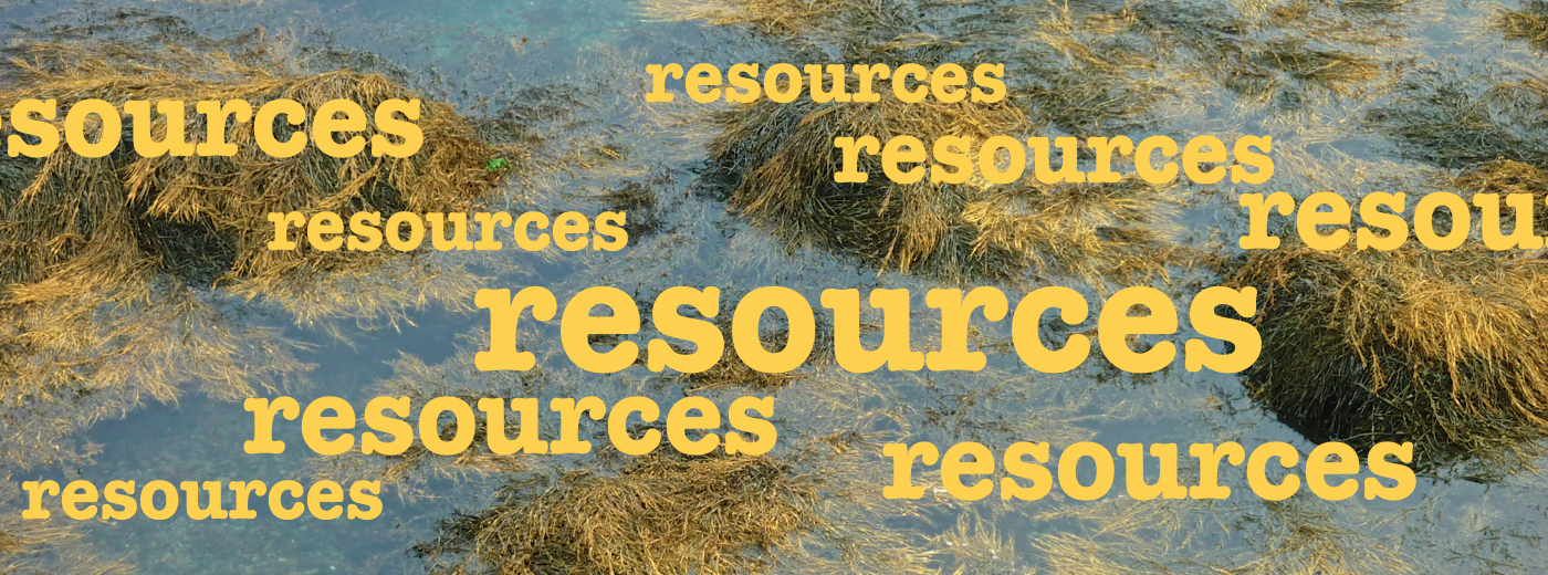 resources banner.png