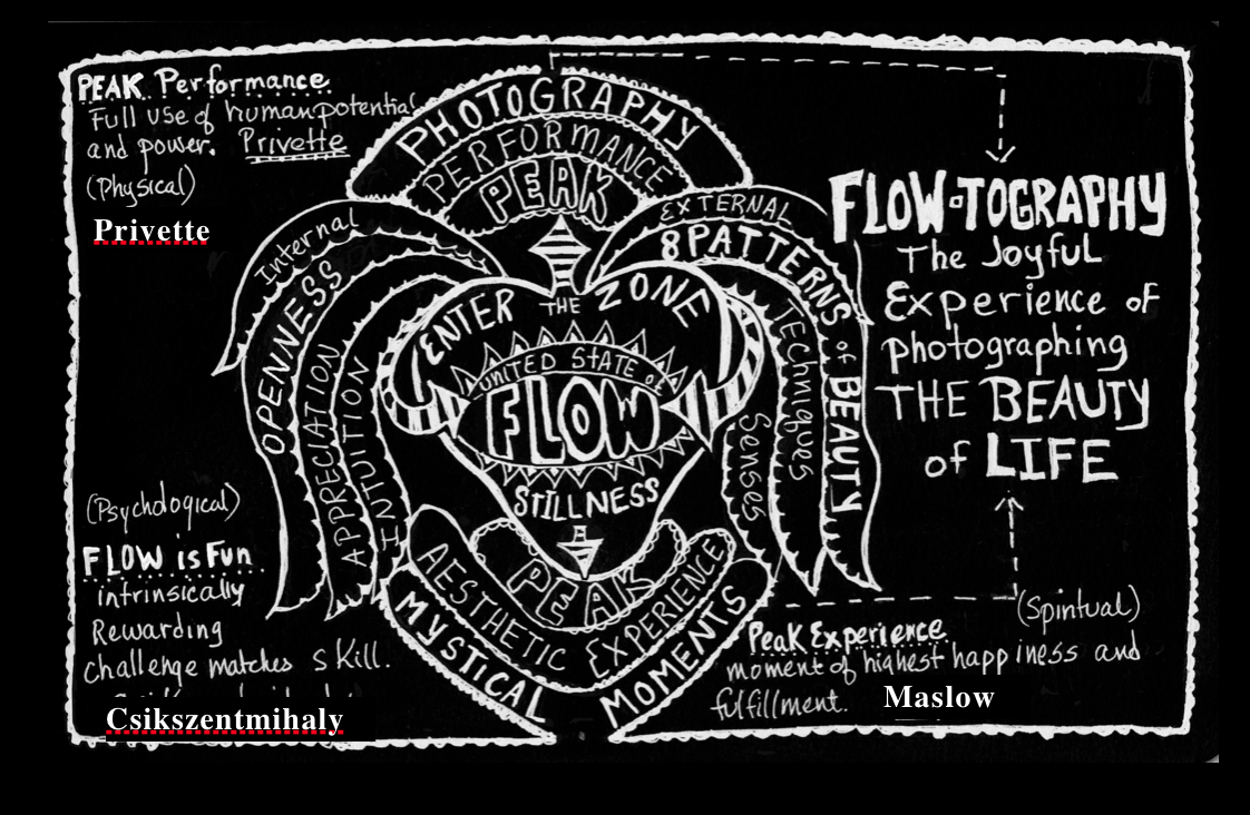 overview of flow.jpg