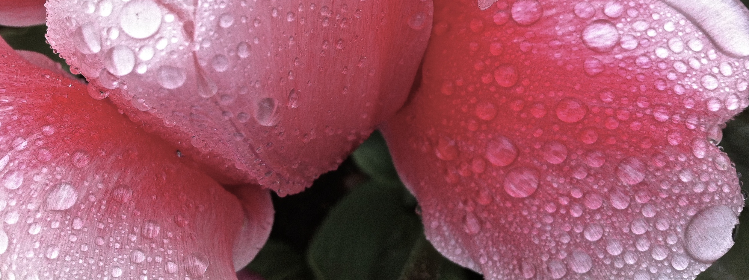 IMG_1048 - Version 2.JPG