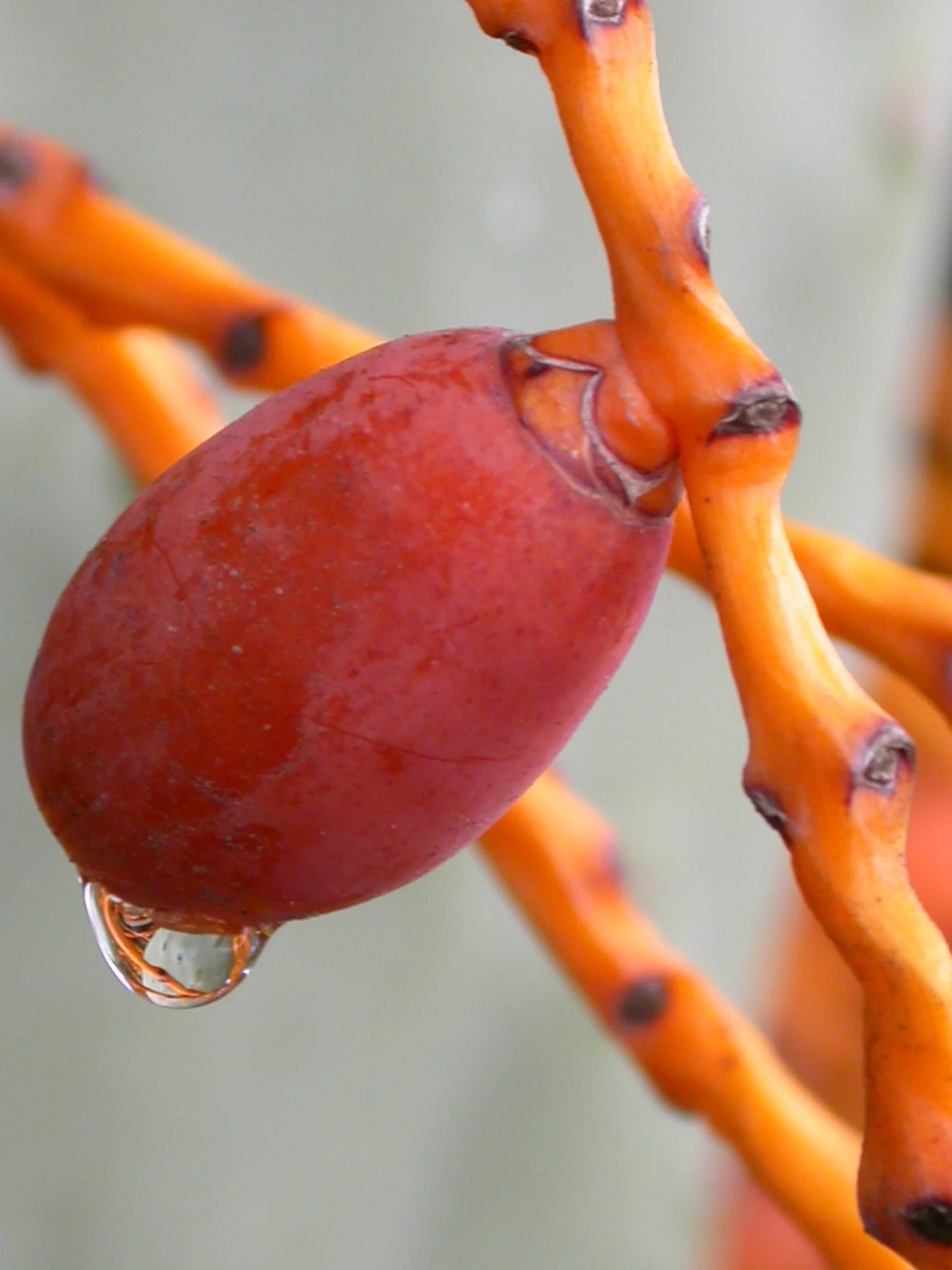DSCN2288.JPG