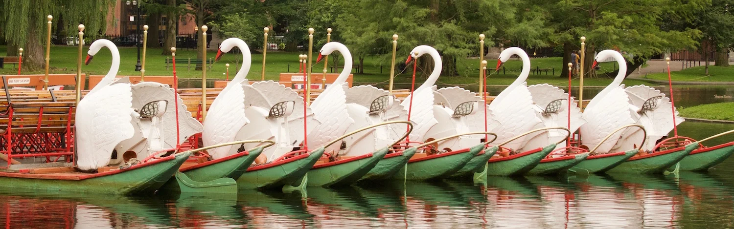 GREETINGS CURIOUS SOULS! JOIN US TO DISCOVER THE BEAUTY OF BOSTON, NEW ENGLAND, AND THE WORLD.