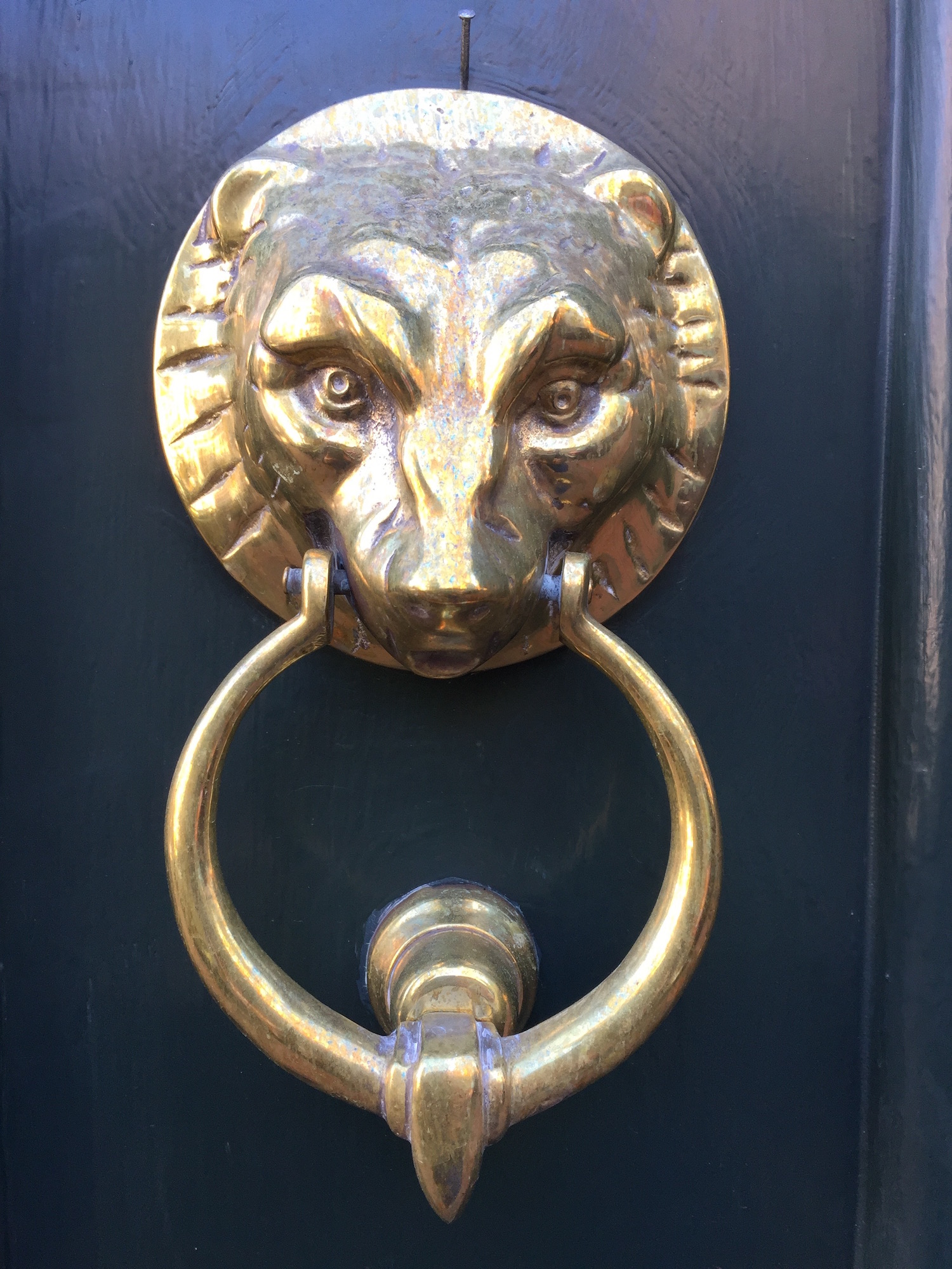 door knocker reduced.jpg