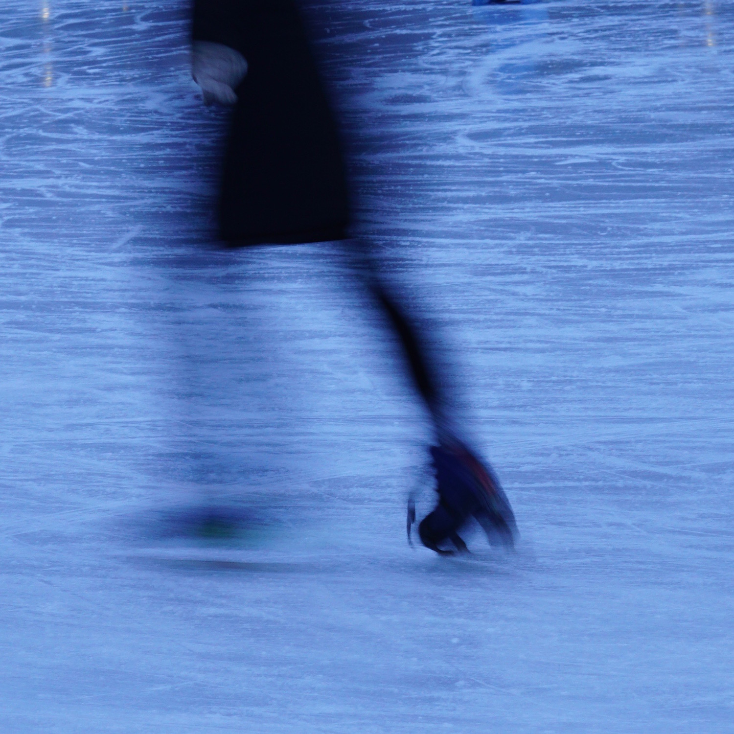 Frog Pond at night by suzanne merritt copy.jpg