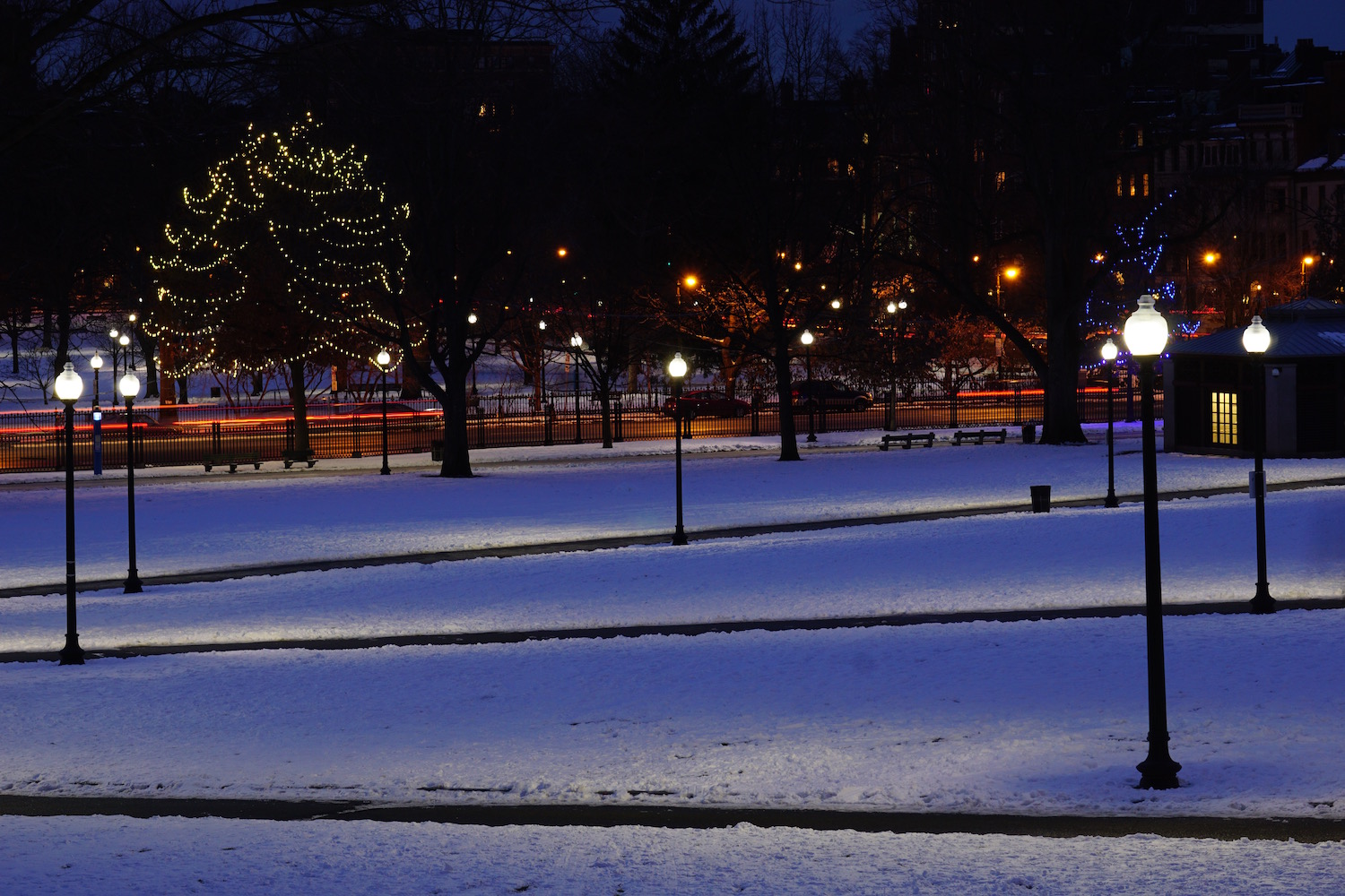 Boston Common at night by Suzanne Merritt  copy.jpg