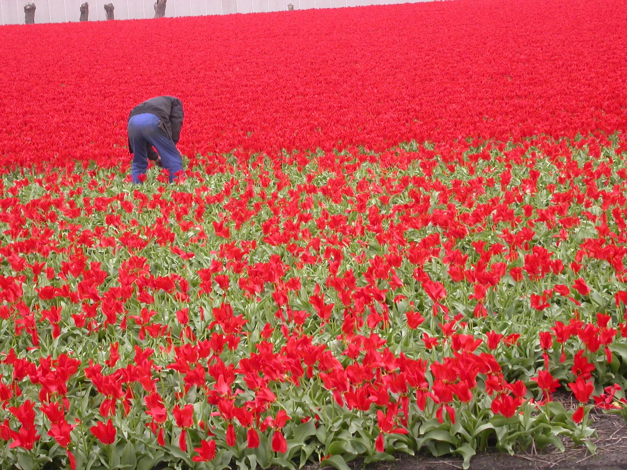 Capture Authentic Travel Moments