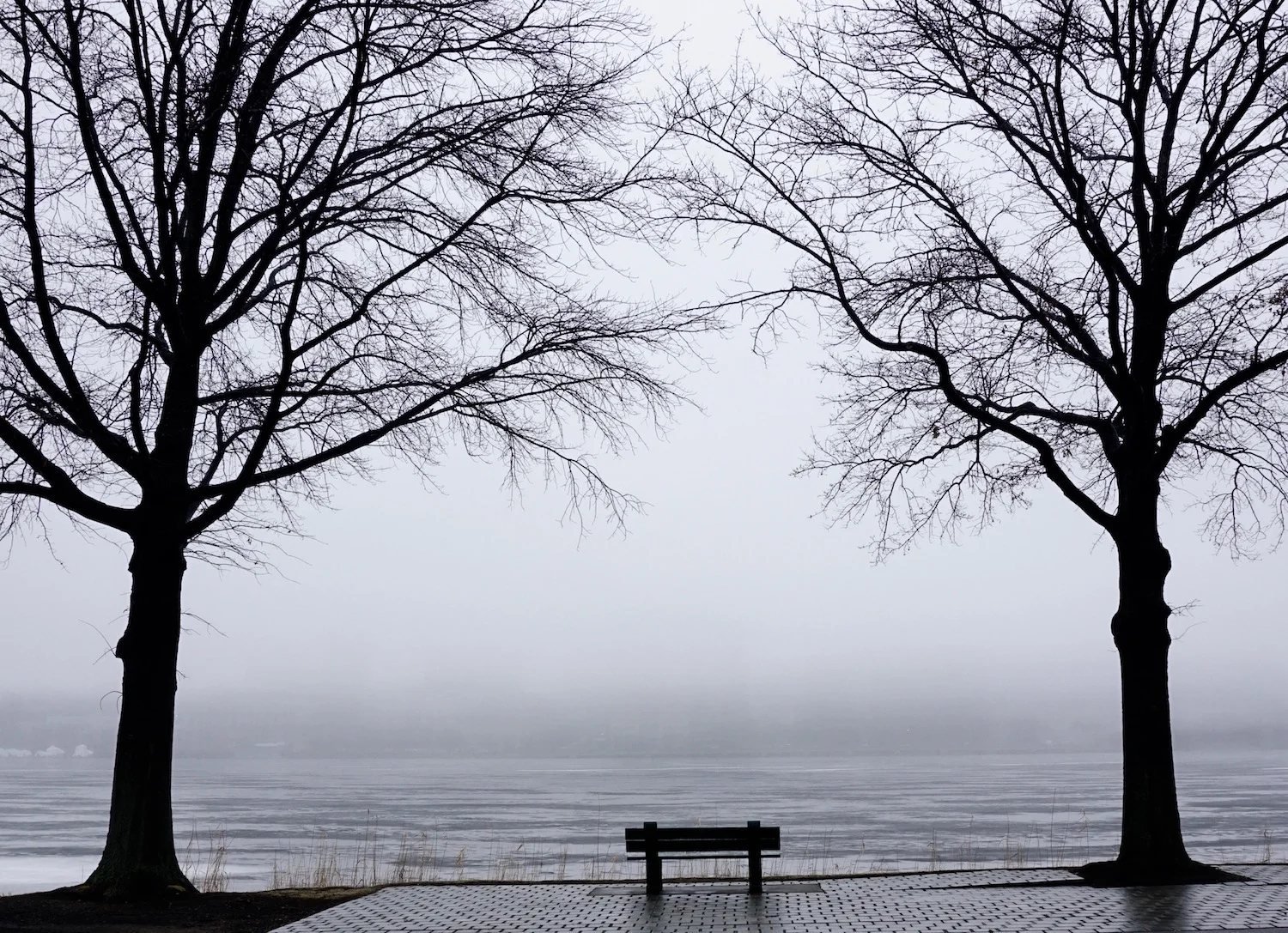 Charles River Fog Lifting