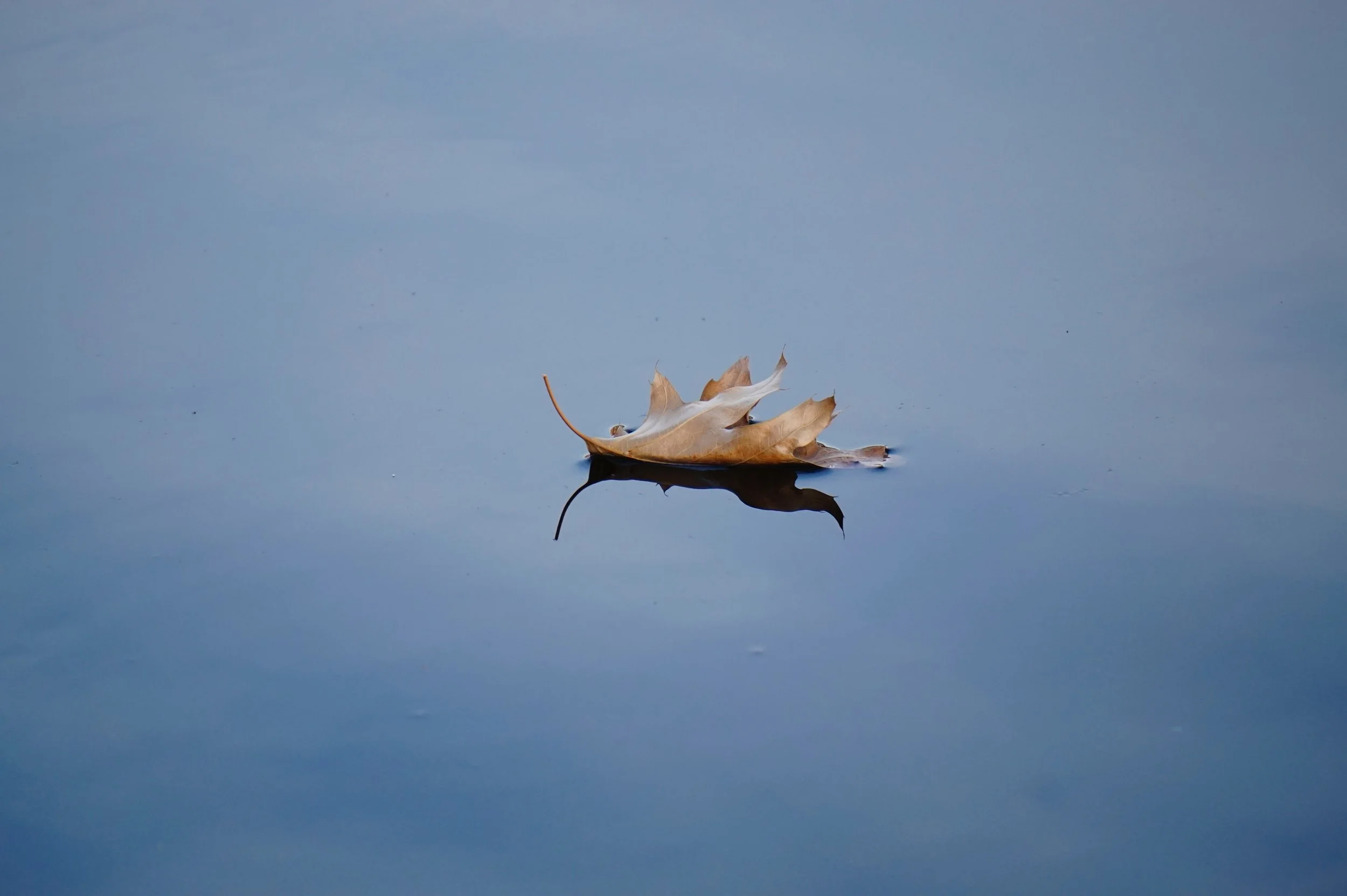 Flow-tography: Introduction to Mindful Photography