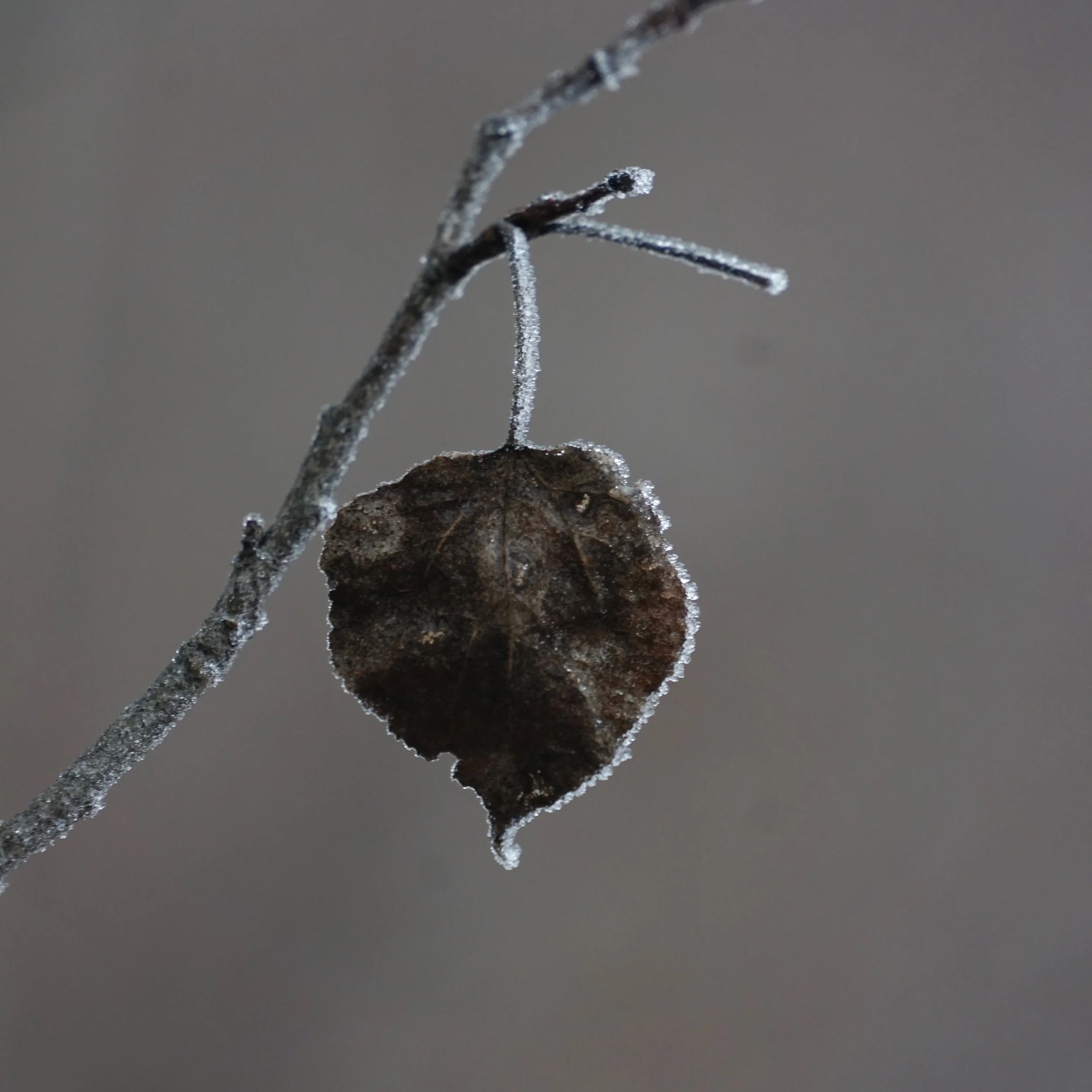 Minimalist Composition