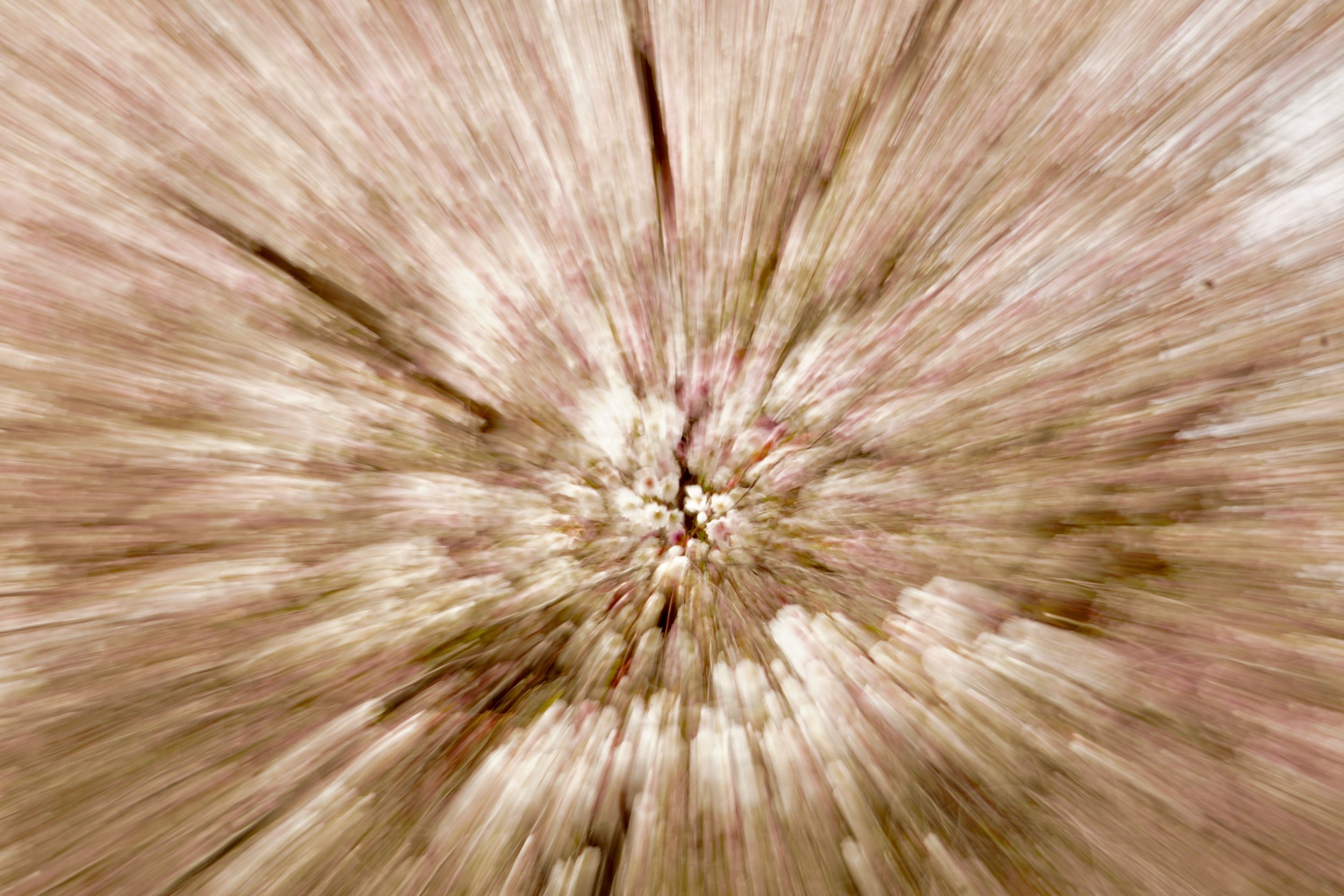 Photograph the essence not the incidental.