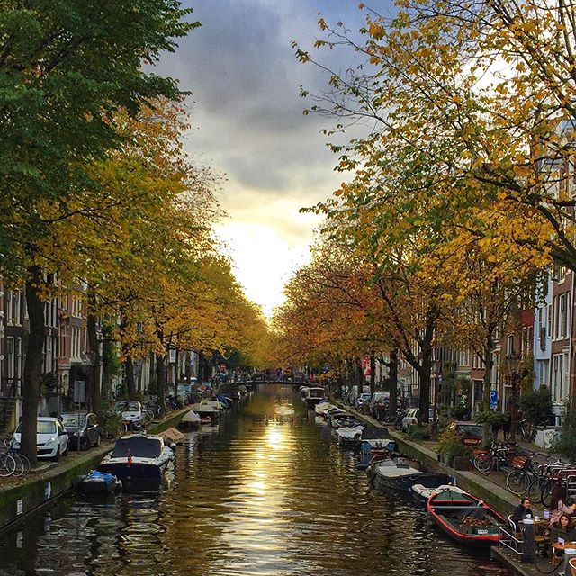 Lovely light in Amsterdam  Golden hour. #light #amsterdam #reflections #sunset #contemplativephotography #flowtography #curioussoulphotoschool #suzannemerritt #travelphotography #fall